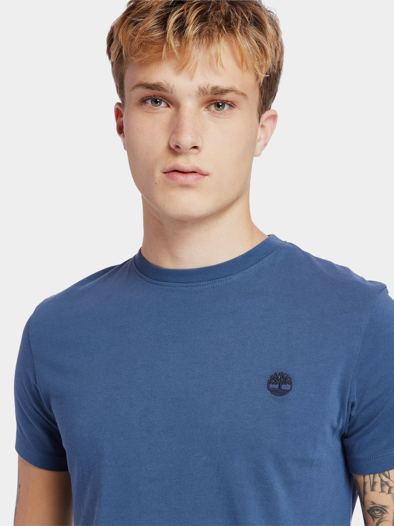 Футболка Timberland Dunstan River модель TB0A2BPR288 Фото