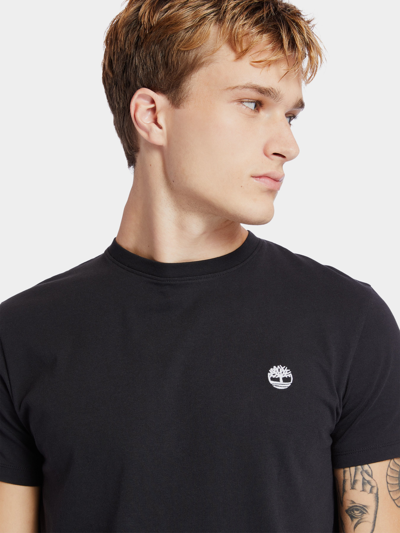 Футболка Timberland SS Dunstan River Jersey модель TB0A2BPR001 Фото