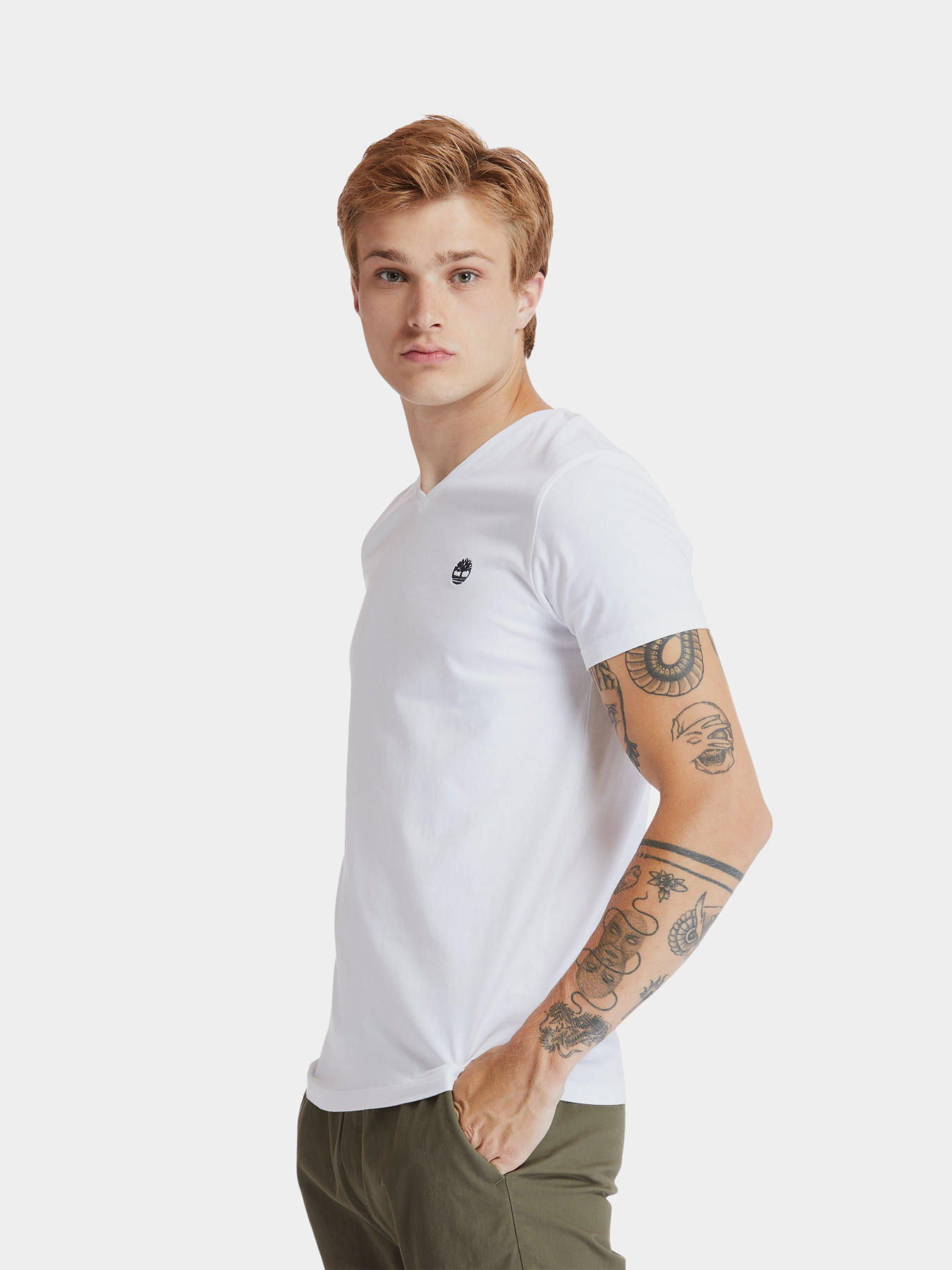 Футболка Timberland Dunstan River V-Neck модель TB0A2BPT100 Фото