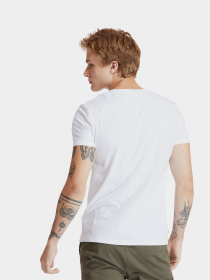 Футболка Timberland Dunstan River V-Neck модель TB0A2BPT100 Фото