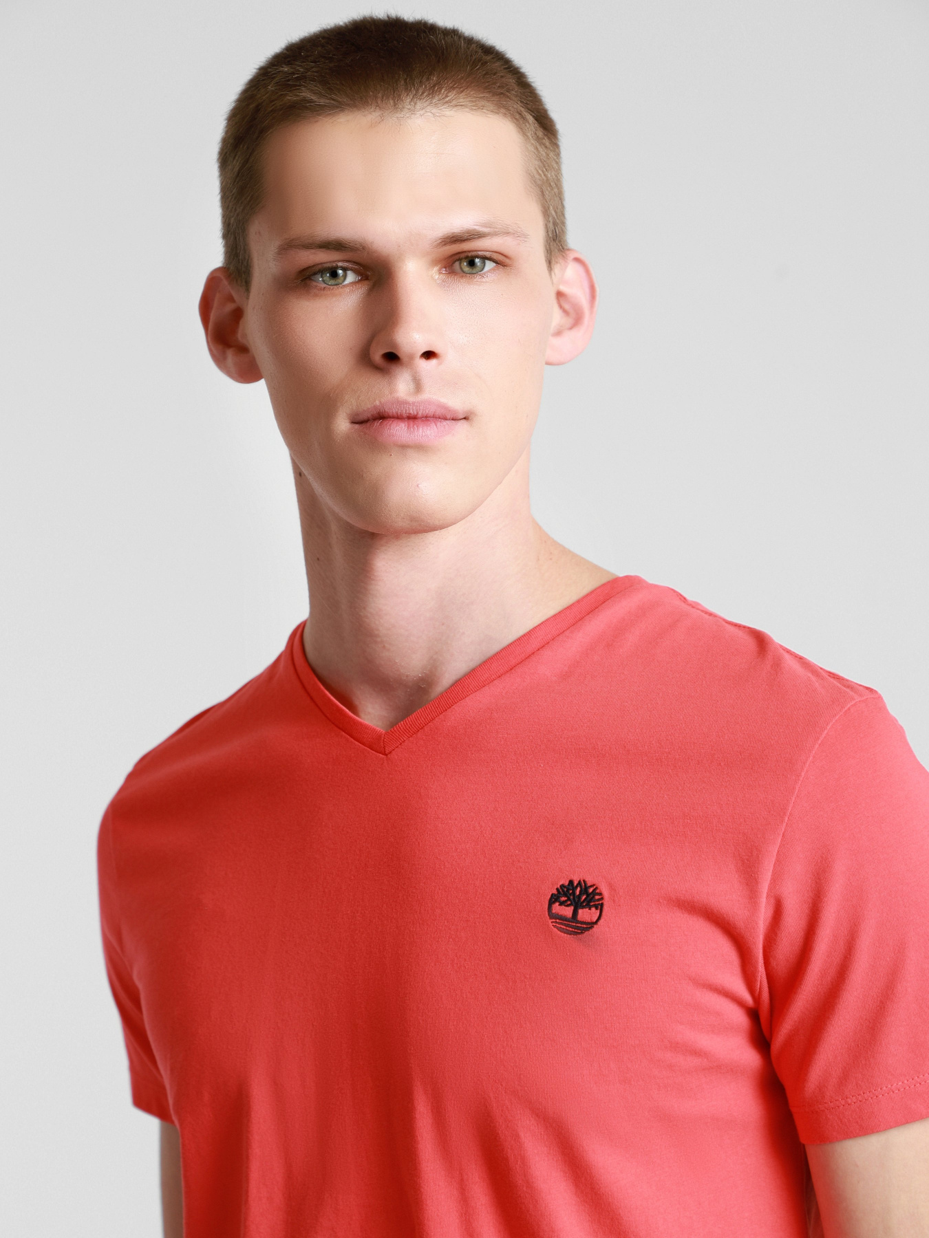 Футболки и поло Timberland Dunstan River модель TB0A2BPT801 Фото