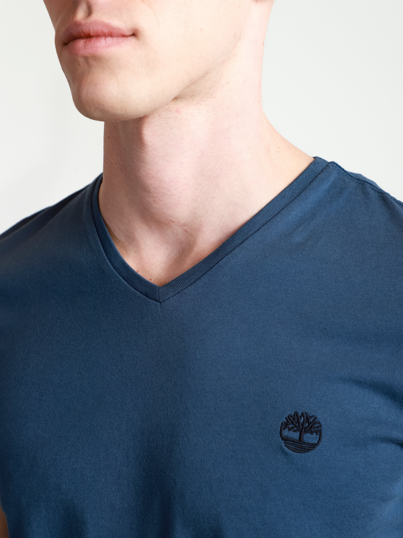 Футболки и поло Timberland Dunstan River V-Neck модель TB0A2BPT288 Фото