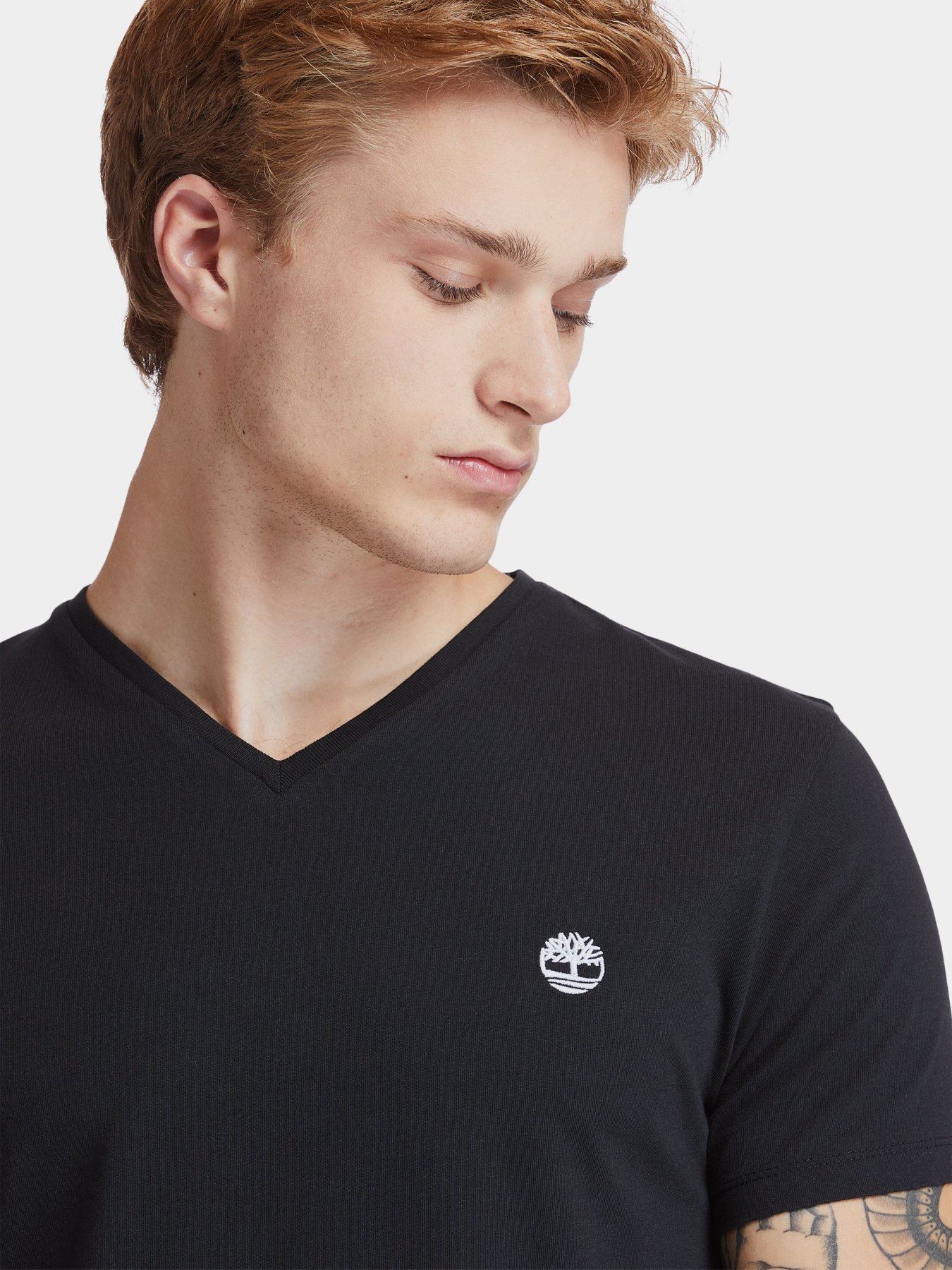 Футболка Timberland Dunstan River модель TB0A2BPT001 Фото