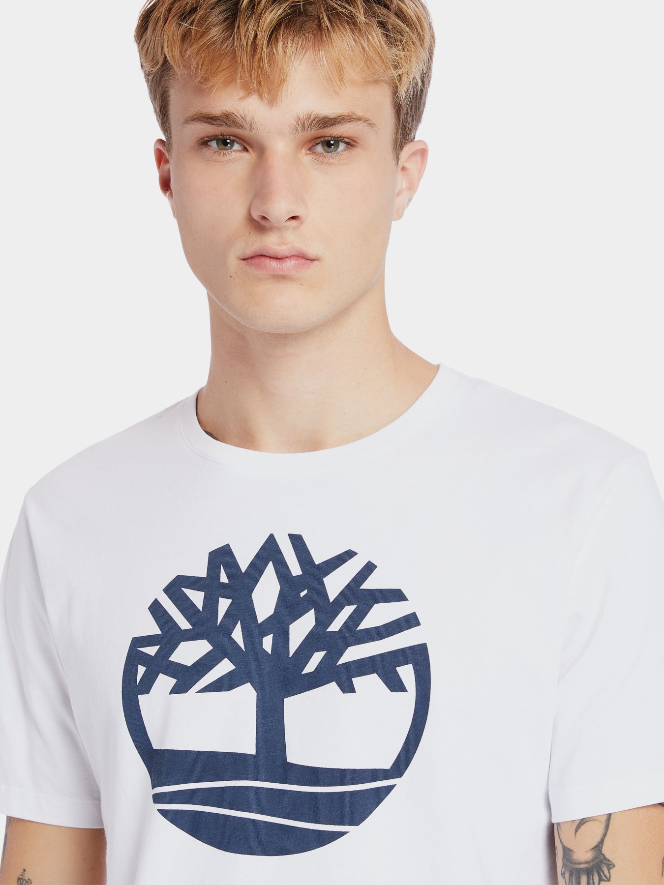 Футболка Timberland Kennebec River Tree модель TB0A2C2R100 Фото