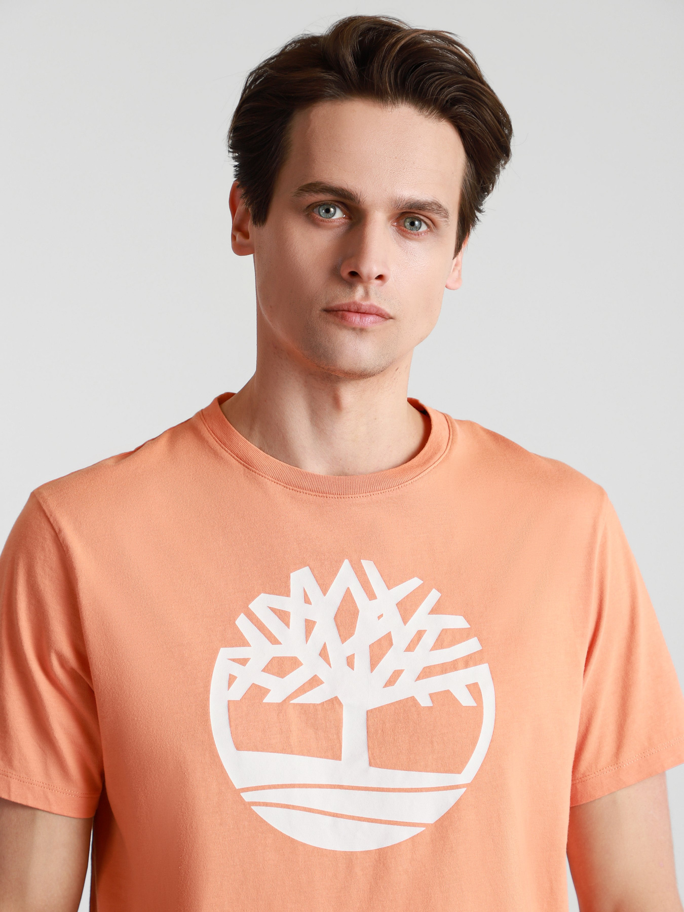 Футболки и поло Timberland Kennebec River Tree модель TB0A2C2RBG4 Фото