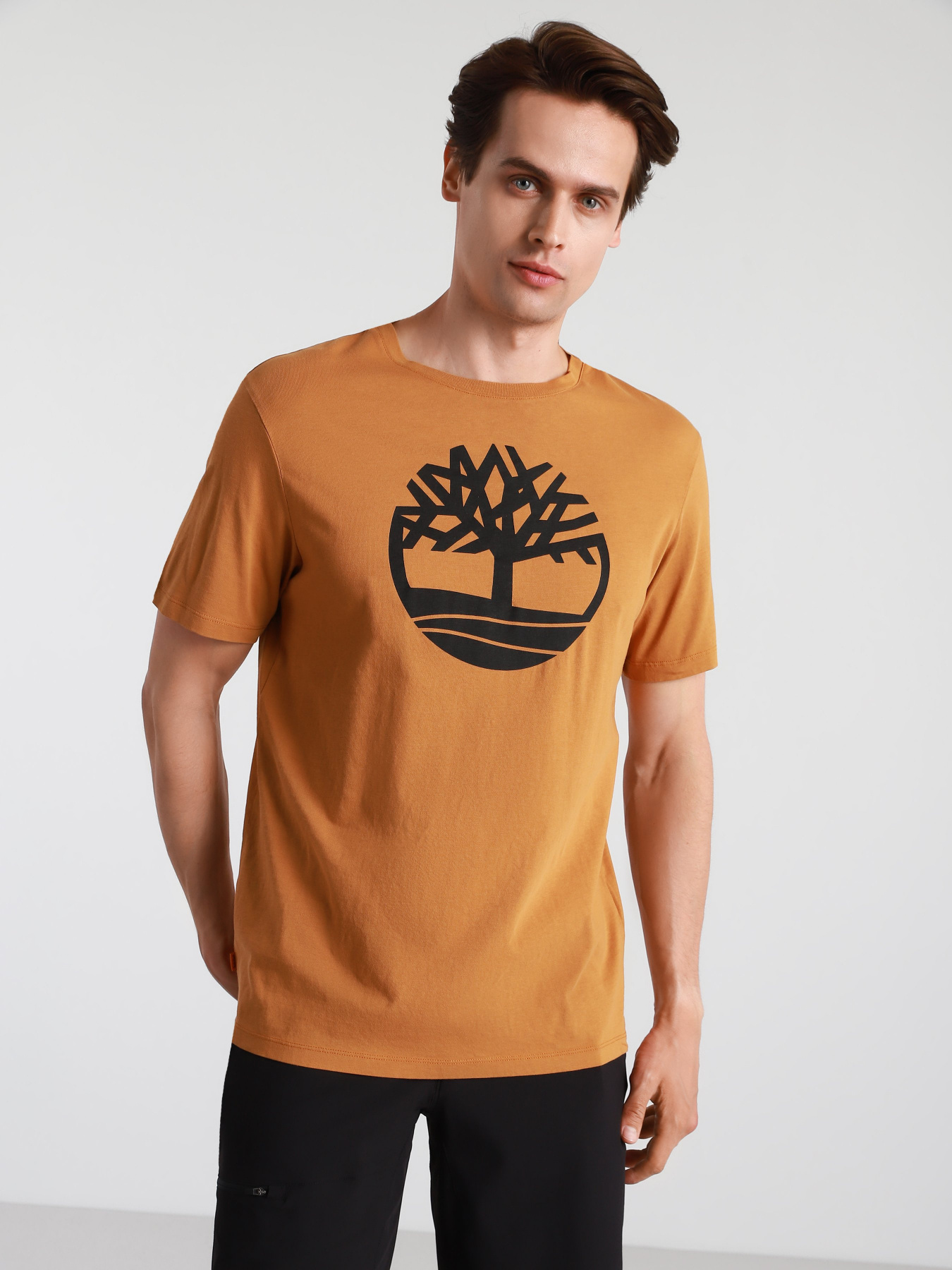 Футболки і поло Timberland Kennebec River Tree Logo модель TB0A2C2RP47 Фото