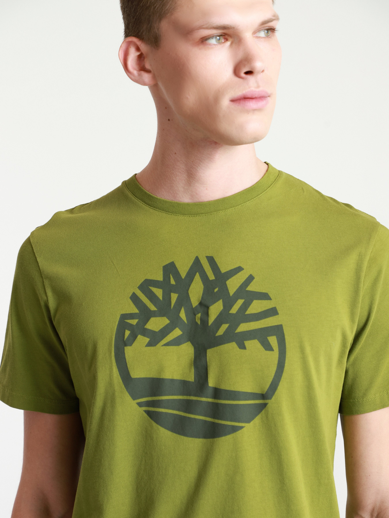 Футболки и поло Timberland Kennebec River  модель TB0A2C2RBG0 Фото