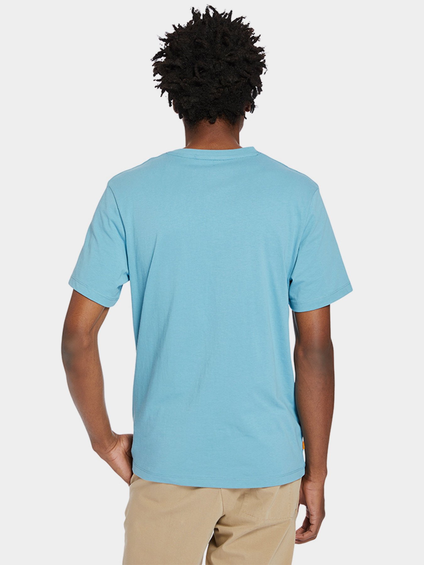 Футболки и поло Timberland Kennebec River Tree модель TB0A2C2RBE3 Фото