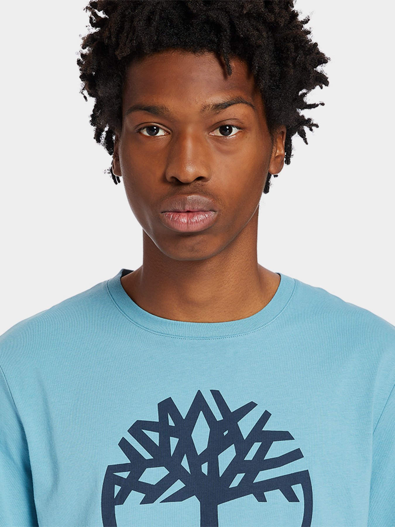 Футболки и поло Timberland Kennebec River Tree модель TB0A2C2RBE3 Фото