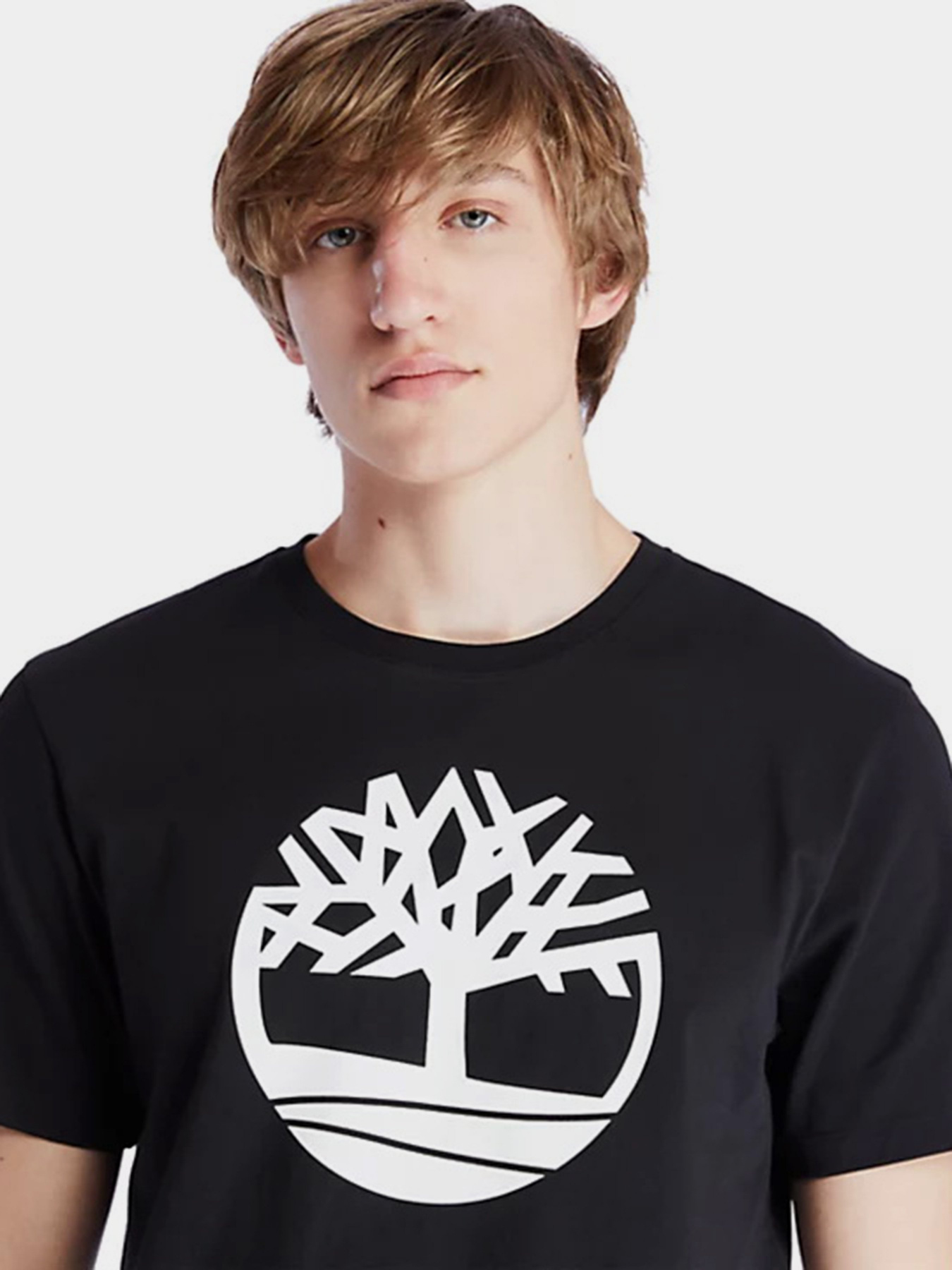 Футболки и поло Timberland Kennebec River Tree Logo модель TB0A2C2R001 Фото