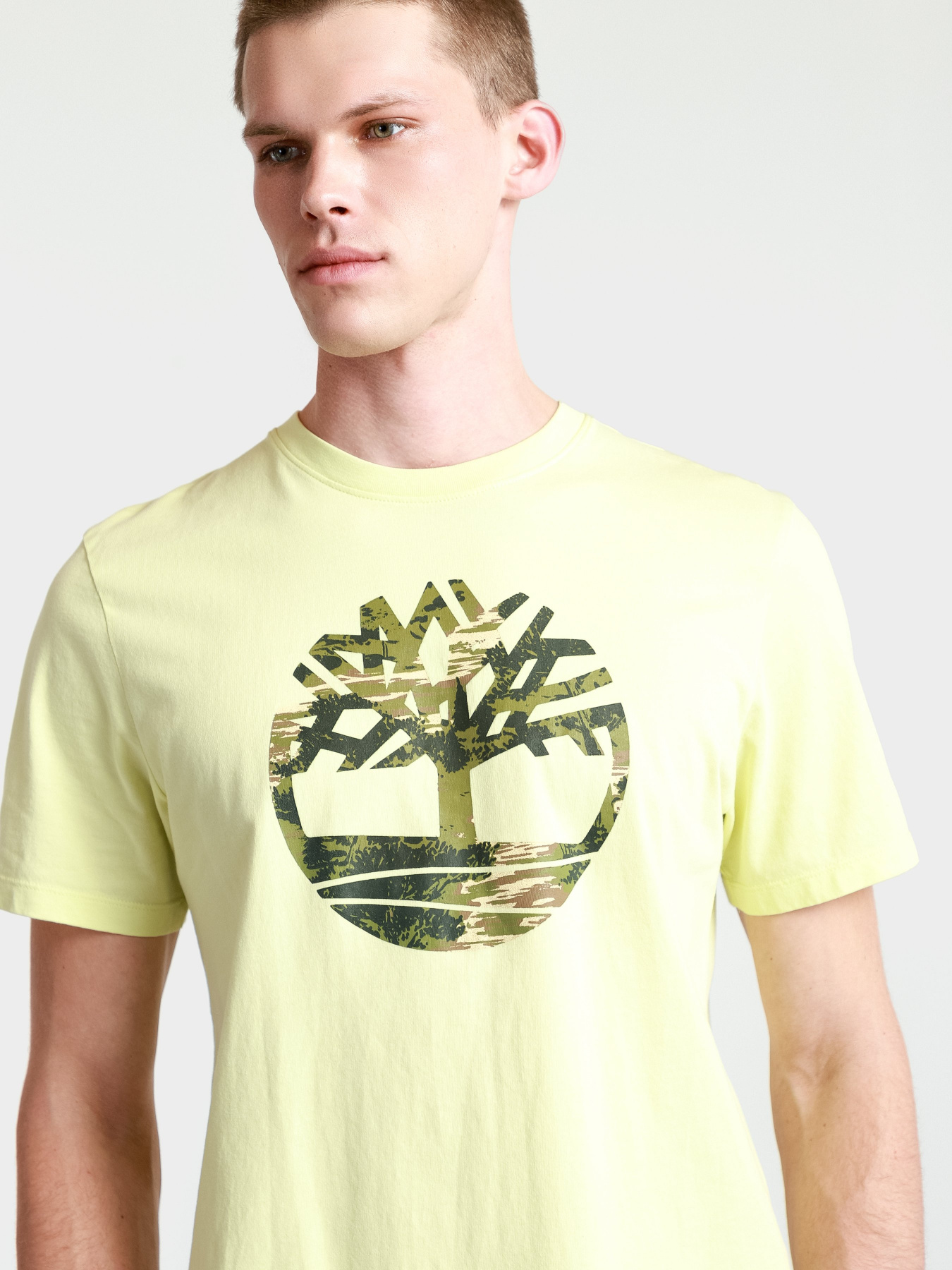 Футболка Timberland Kennebec River  модель TB0A2FAQ322 Фото