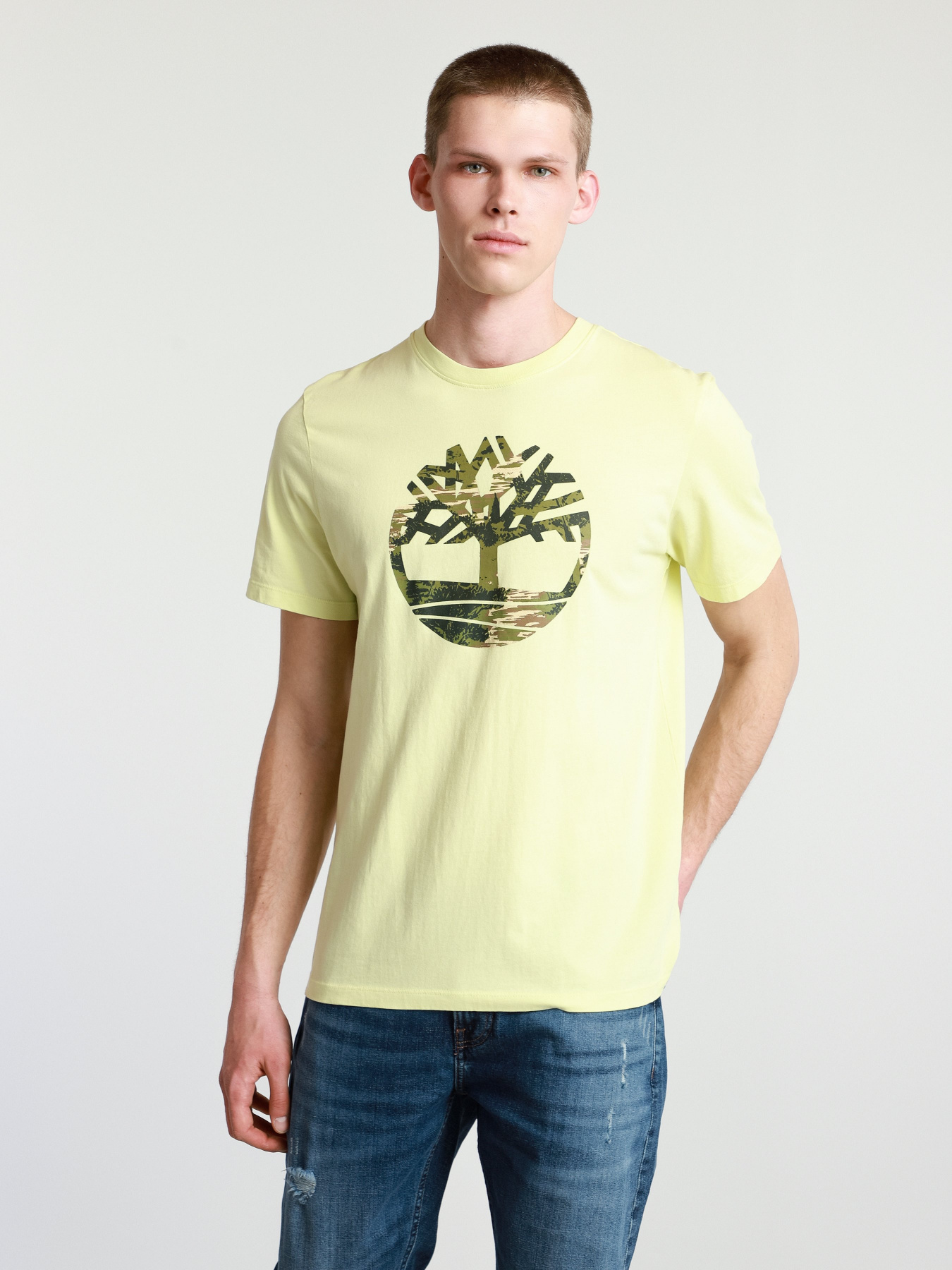 Футболка Timberland Kennebec River  модель TB0A2FAQ322 Фото