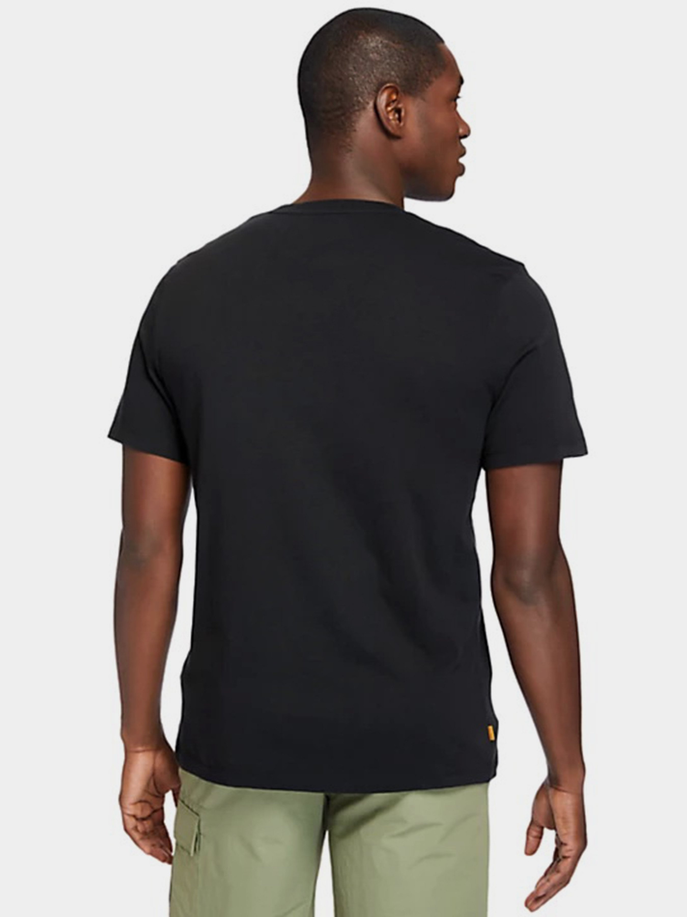 Футболки и поло Timberland Kennebec River Tree модель TB0A2FAQ001 Фото