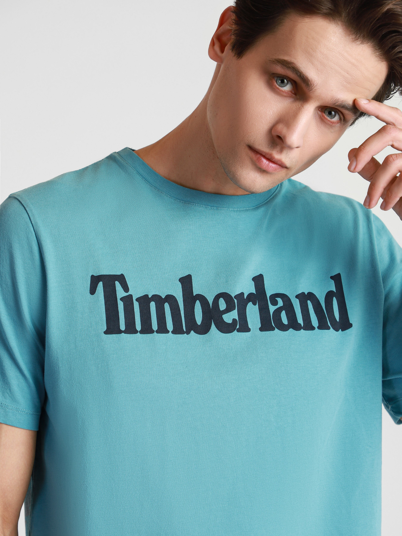 Футболки і поло Timberland Kennebec River Linear модель TB0A2C31BE3 Фото