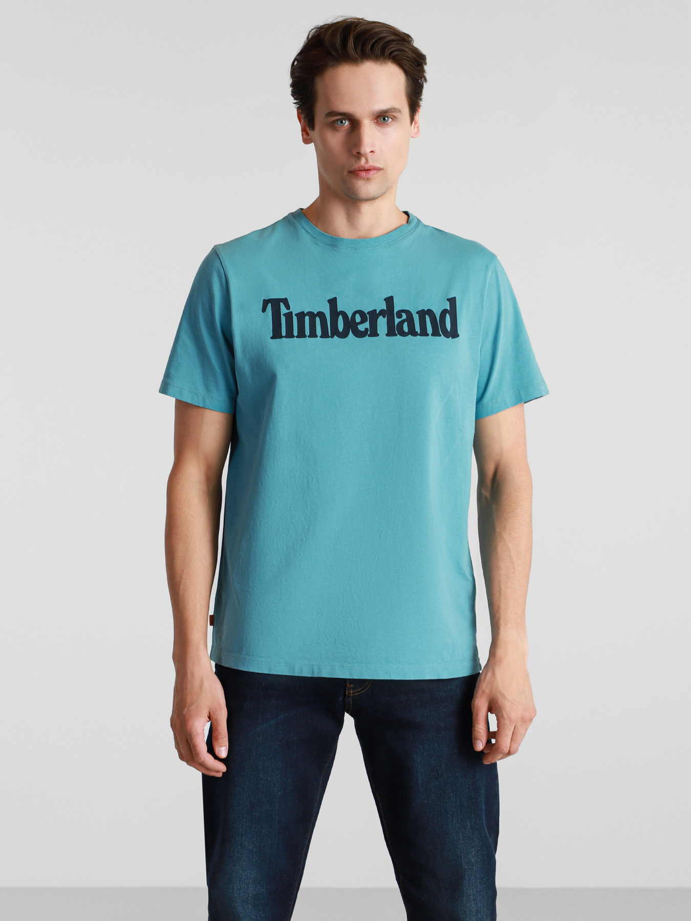 Футболки і поло Timberland Kennebec River Linear модель TB0A2C31BE3 Фото