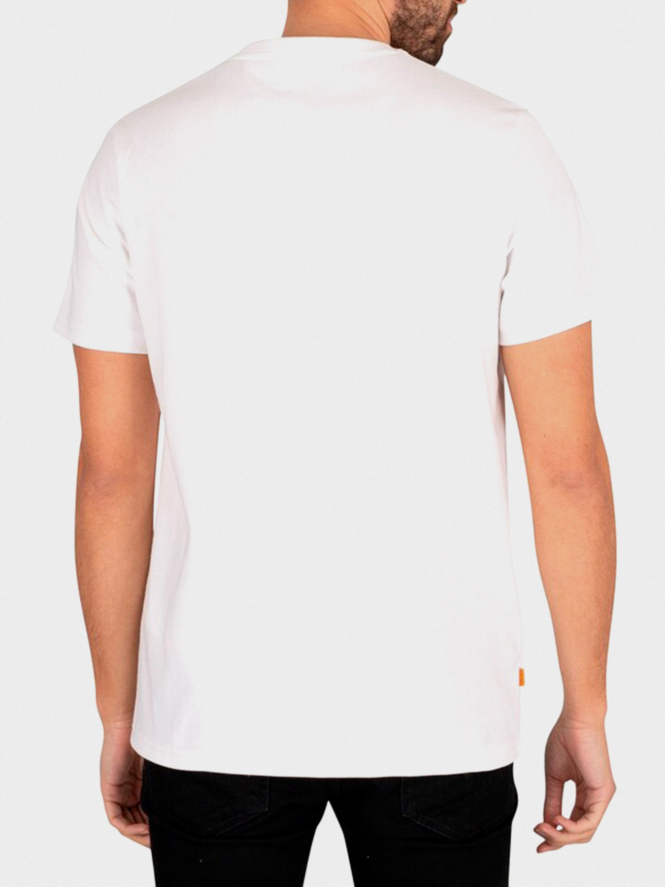 Футболка Timberland Outdoor Heritage Logo модель TB0A2CMA100 Фото