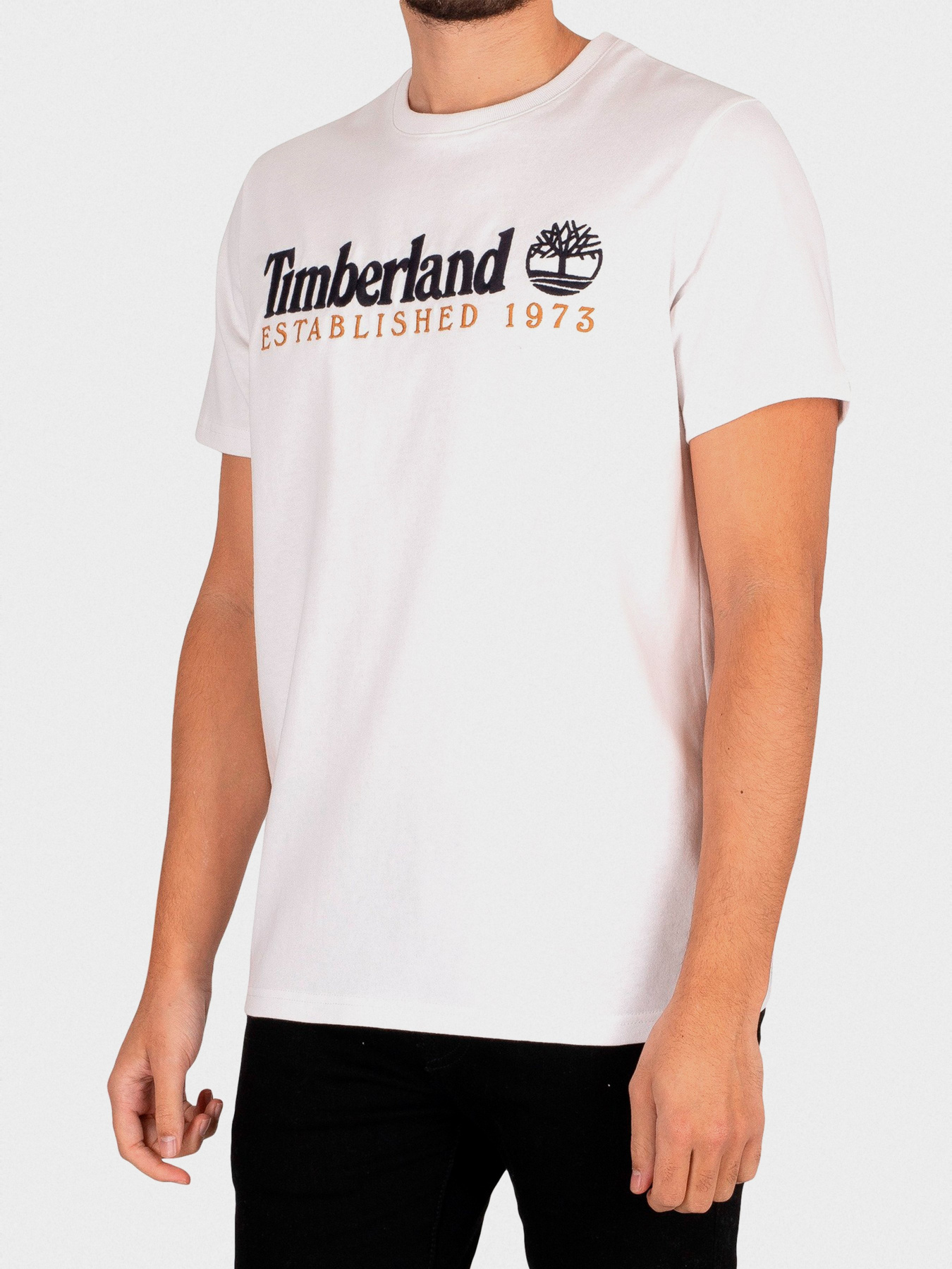 Футболка Timberland Outdoor Heritage Logo модель TB0A2CMA100 Фото