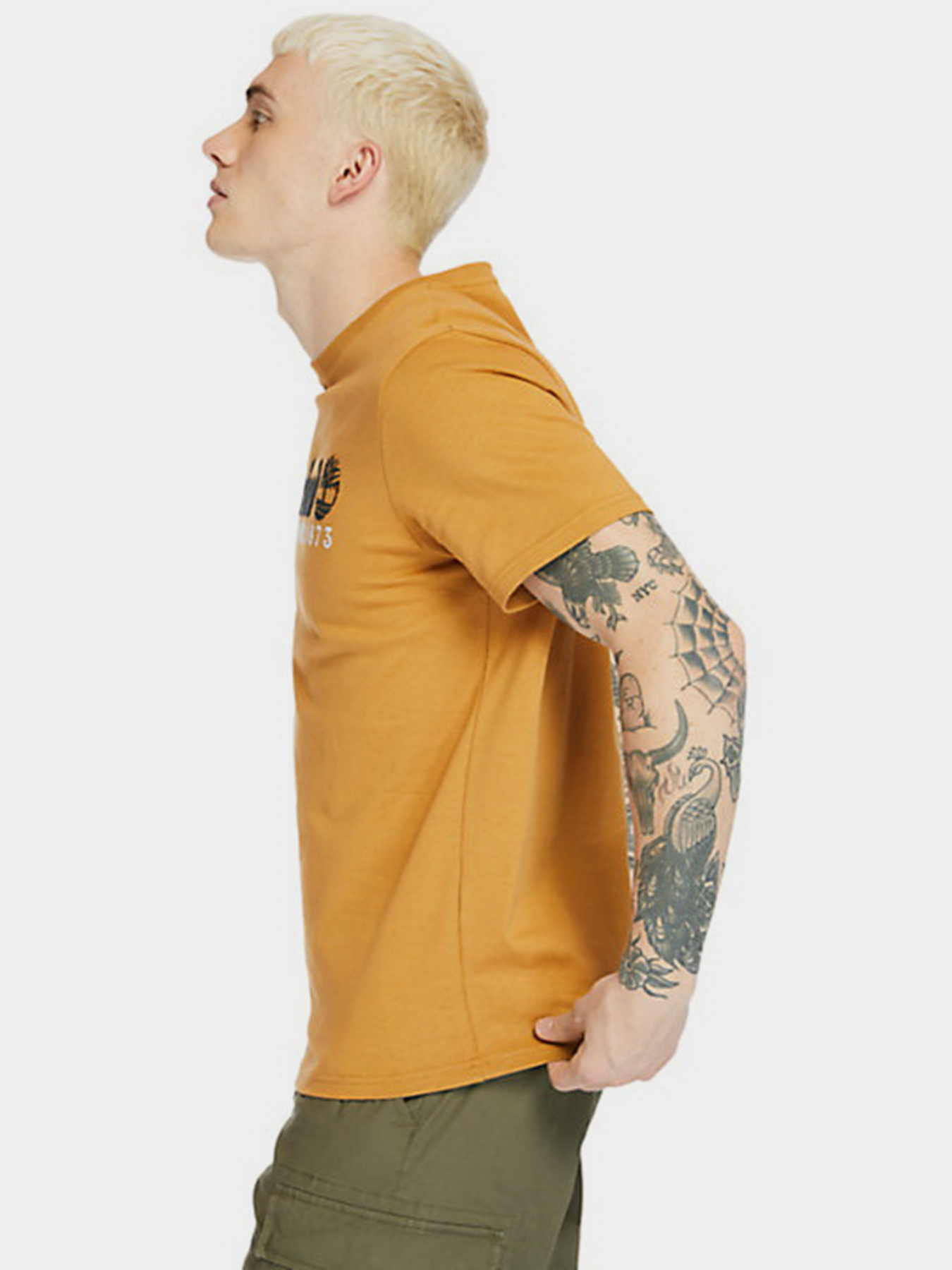 Футболка Timberland Outdoor Est.1973 Linear Logo модель TB0A2CMAP47 Фото