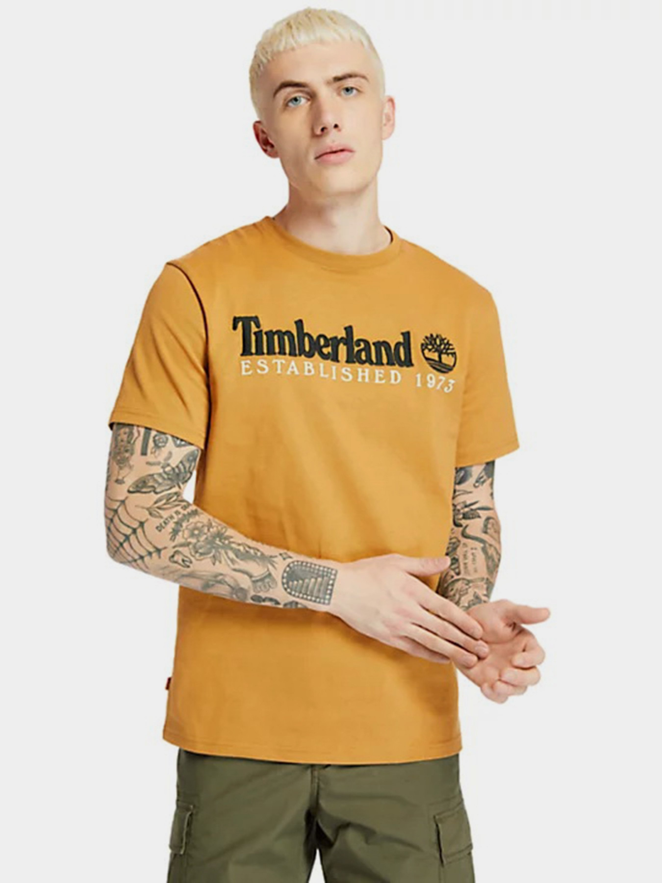 Футболка Timberland Outdoor Est.1973 Linear Logo модель TB0A2CMAP47 Фото