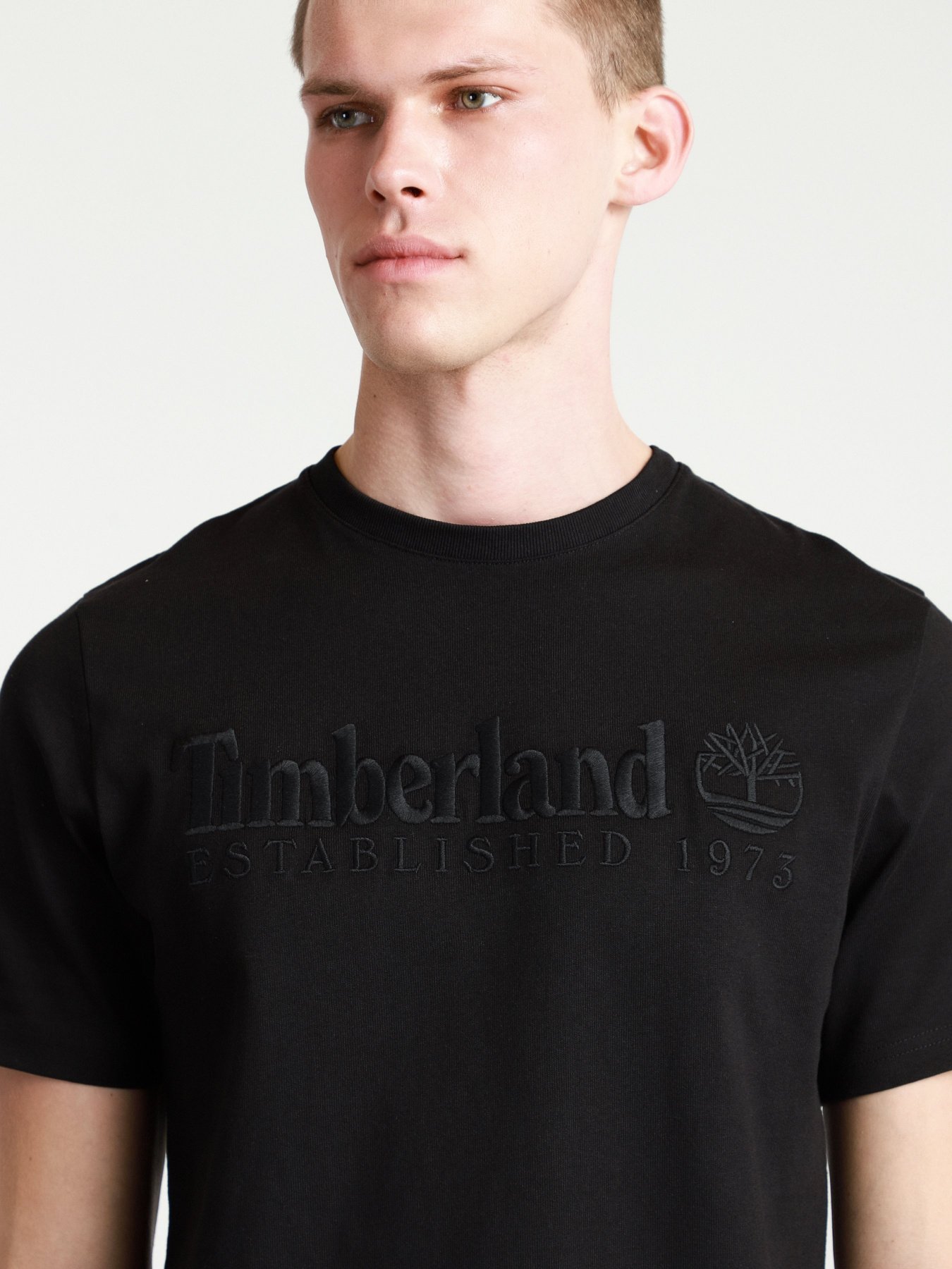 Футболки и поло Timberland Outdoor Heritage Logo модель TB0A2CMA001 Фото
