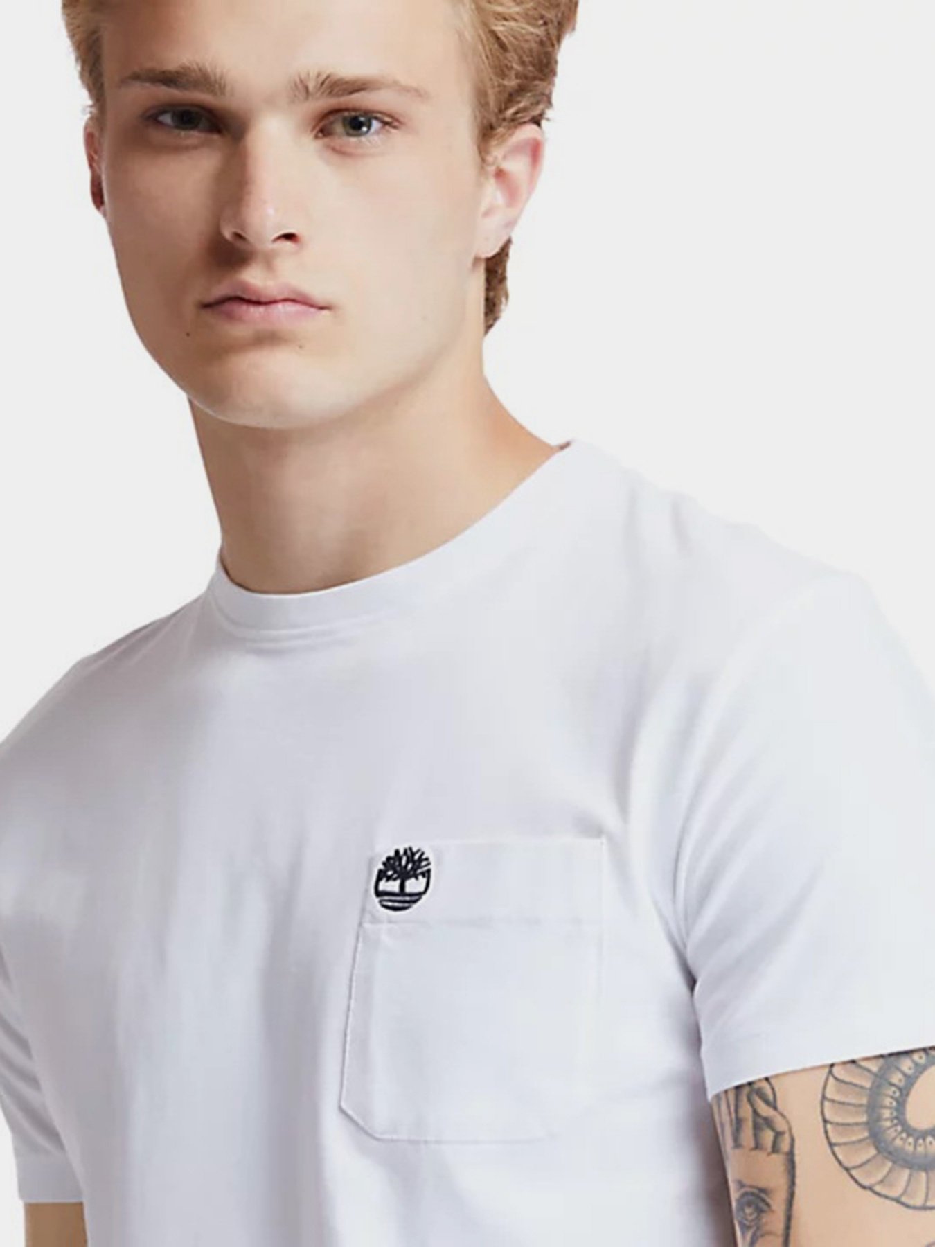 Футболка Timberland Dunstan River модель TB0A2CQY100 Фото