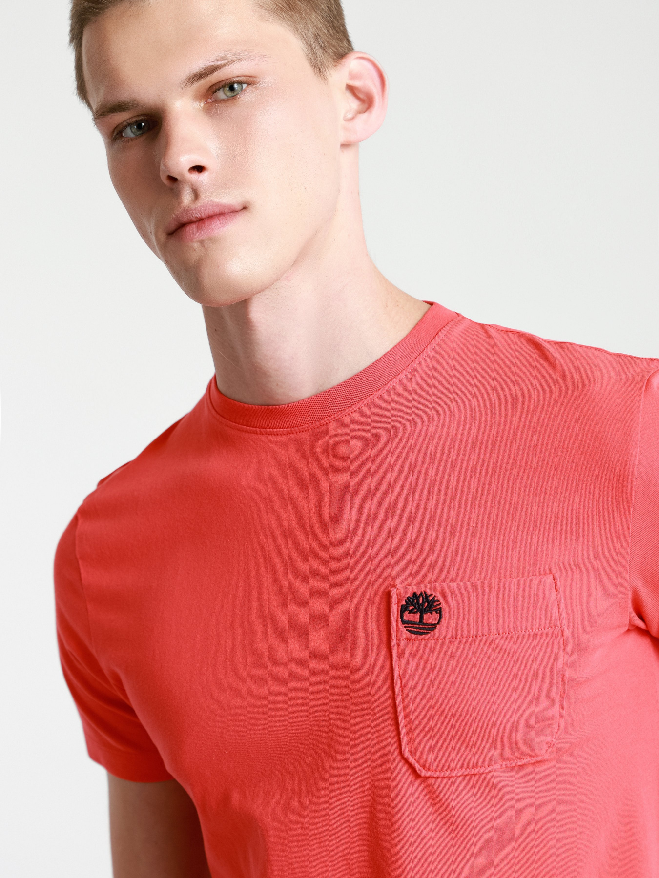 Футболки и поло Timberland Dunstan River модель TB0A2CQY801 Фото