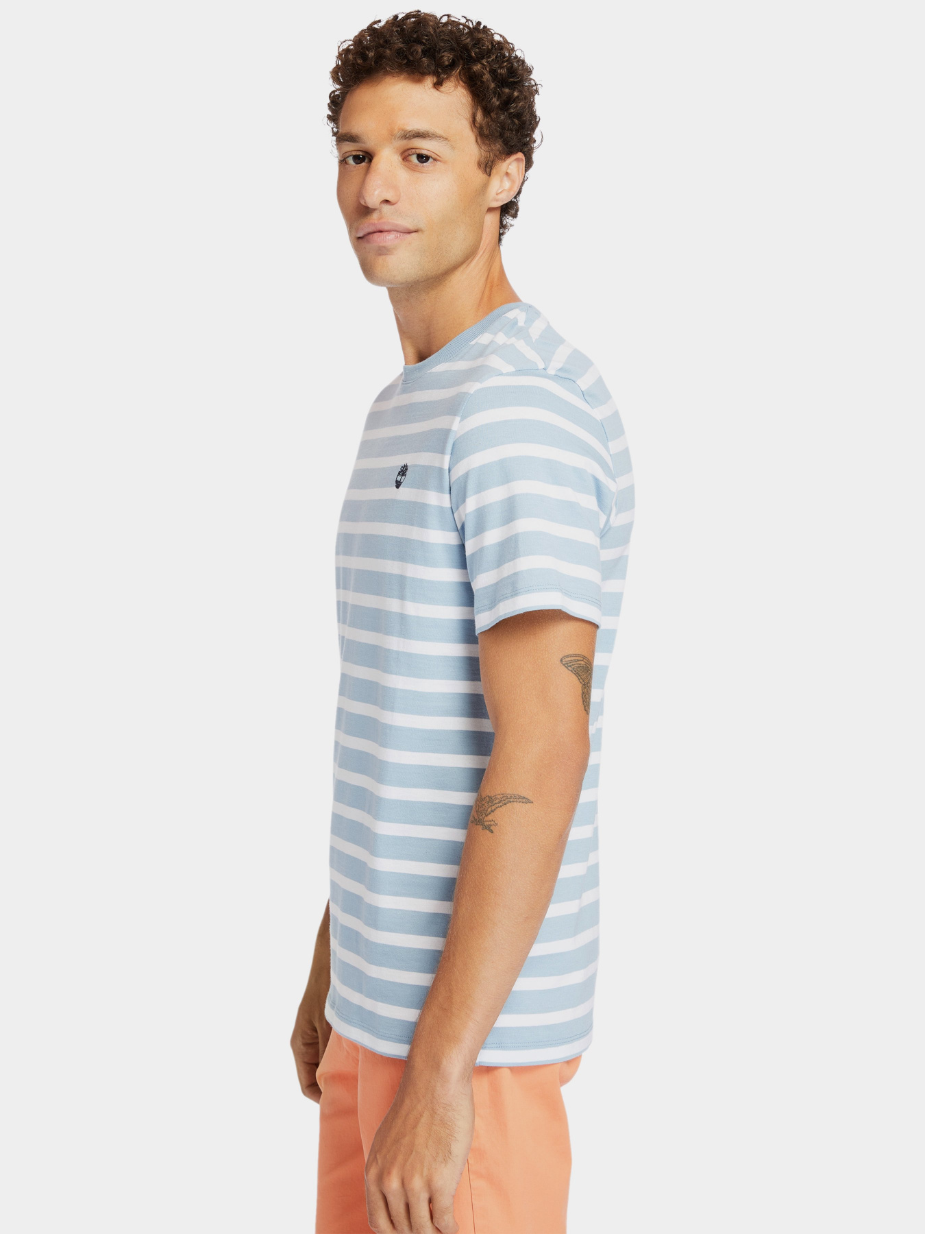 Футболки и поло Timberland SS Zealand River YD модель TB0A2DKNG33 Фото