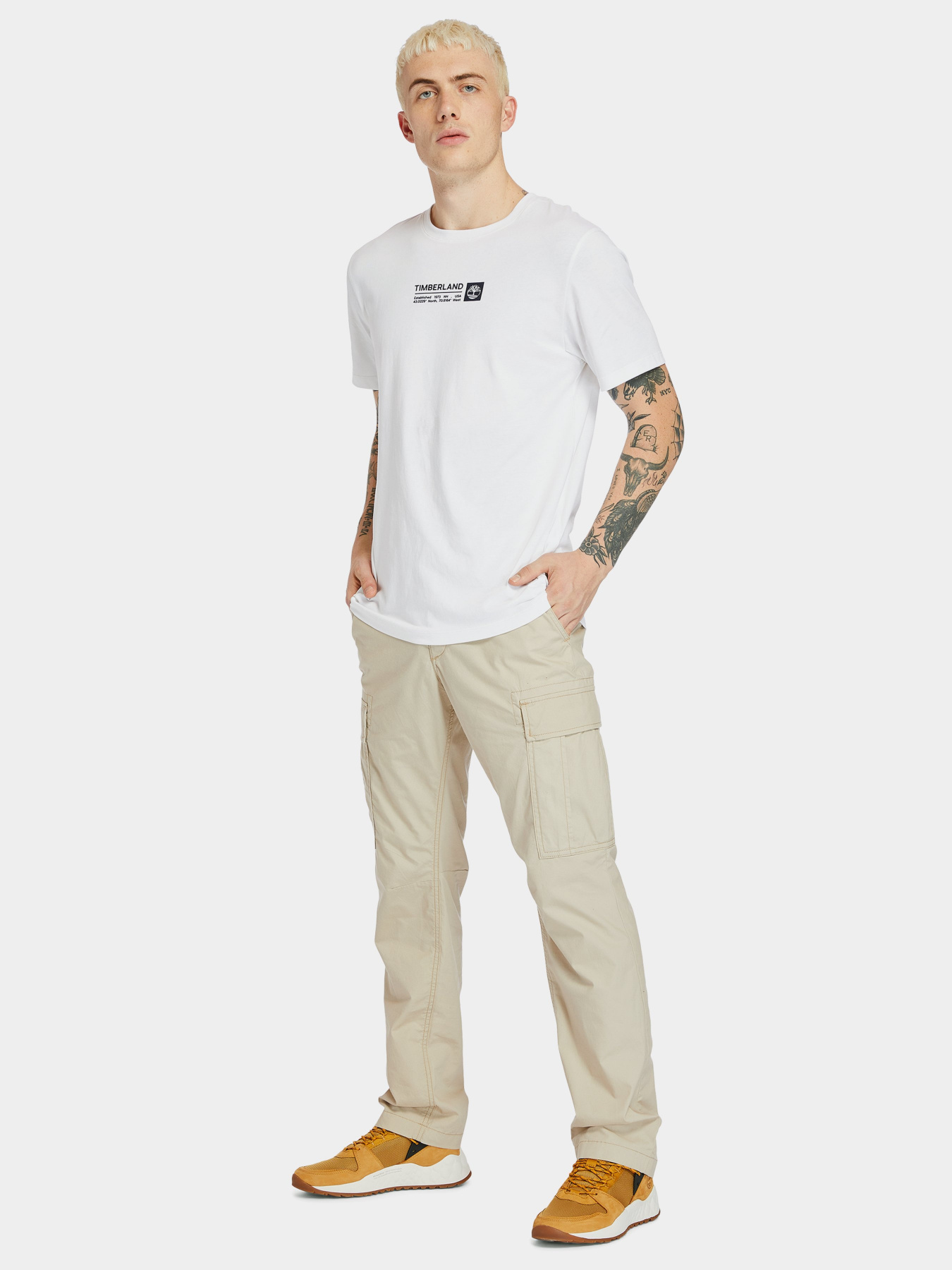 Футболки и поло Timberland Mink Brook модель TB0A2DM8100 Фото