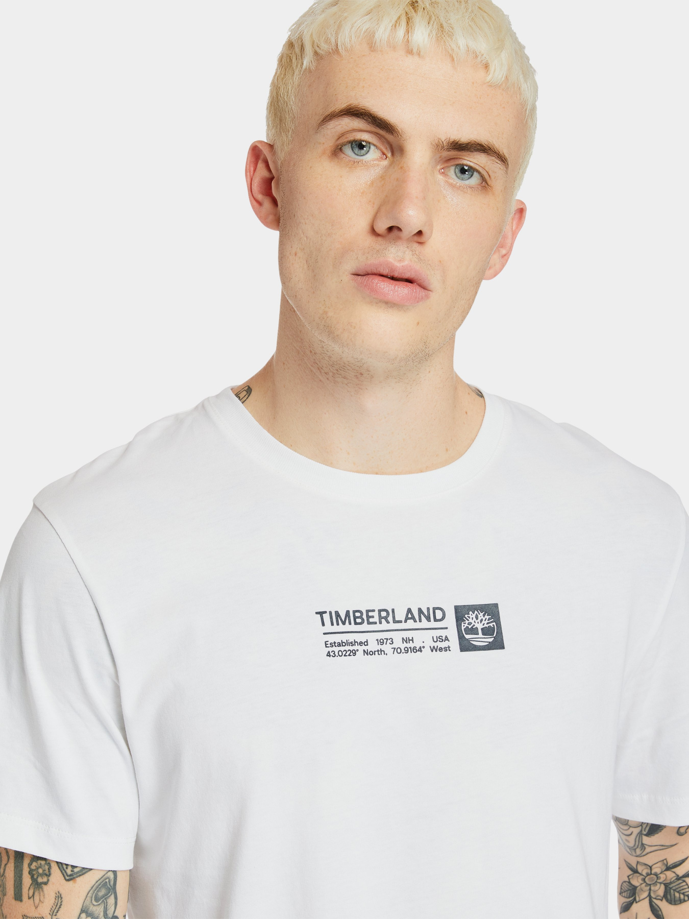 Футболки и поло Timberland Mink Brook модель TB0A2DM8100 Фото