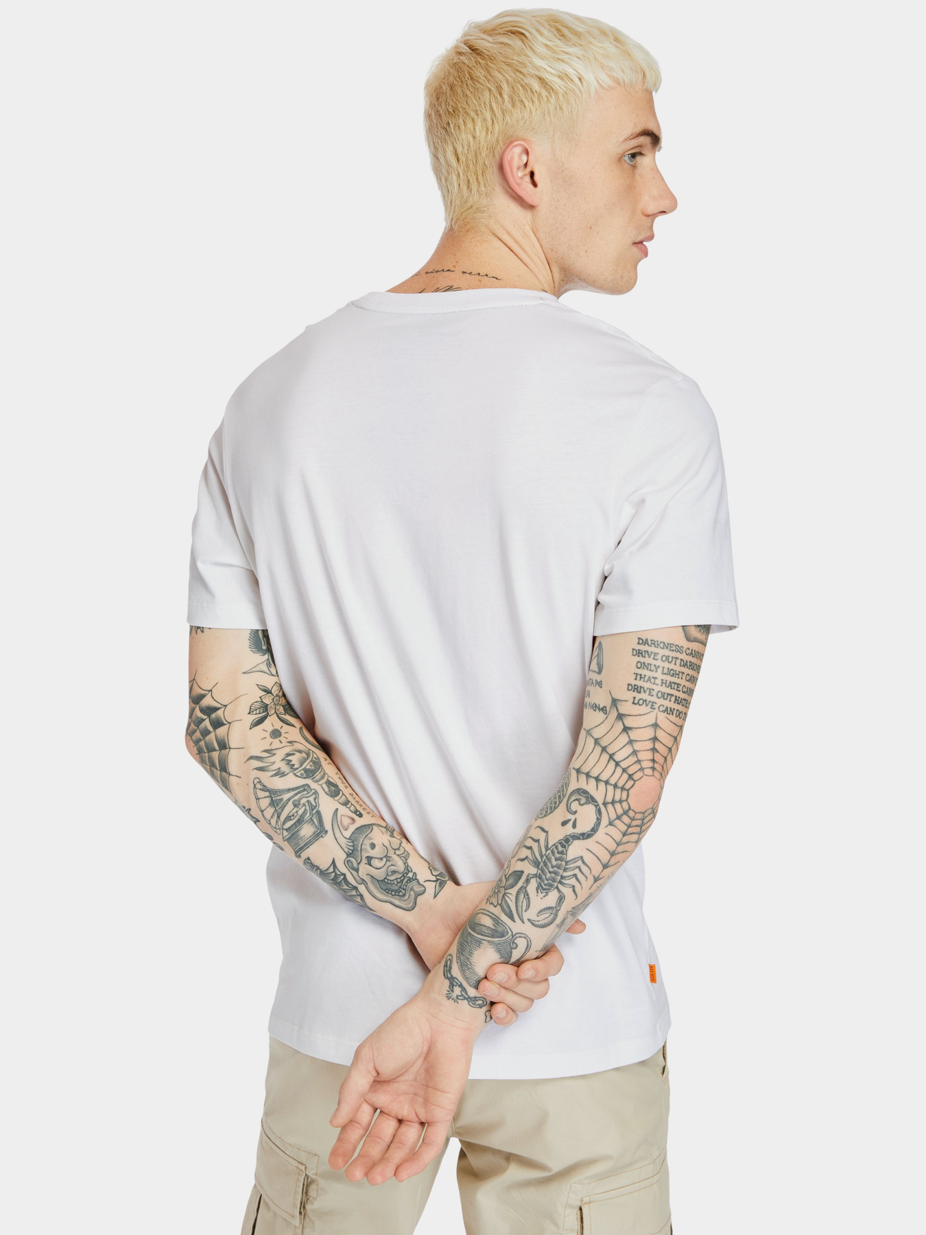 Футболки и поло Timberland Mink Brook модель TB0A2DM8100 Фото