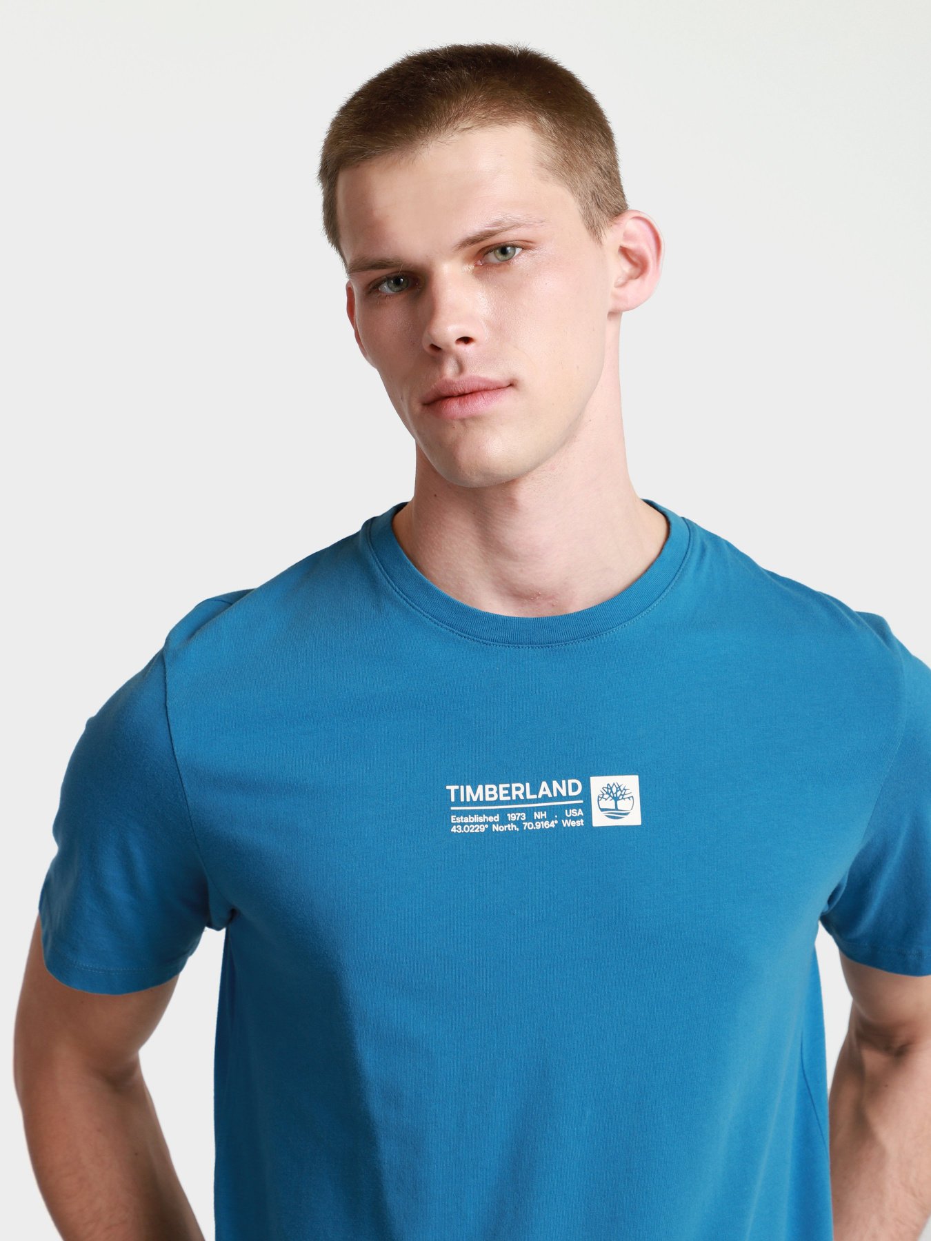 Футболки и поло Timberland Mink Brook модель TB0A2DM8949 Фото