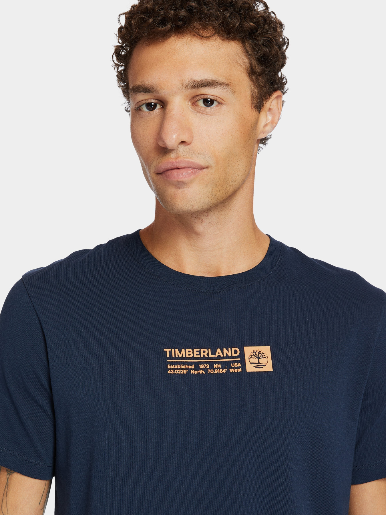 Футболки и поло Timberland Mink Brook модель TB0A2DM8433 Фото