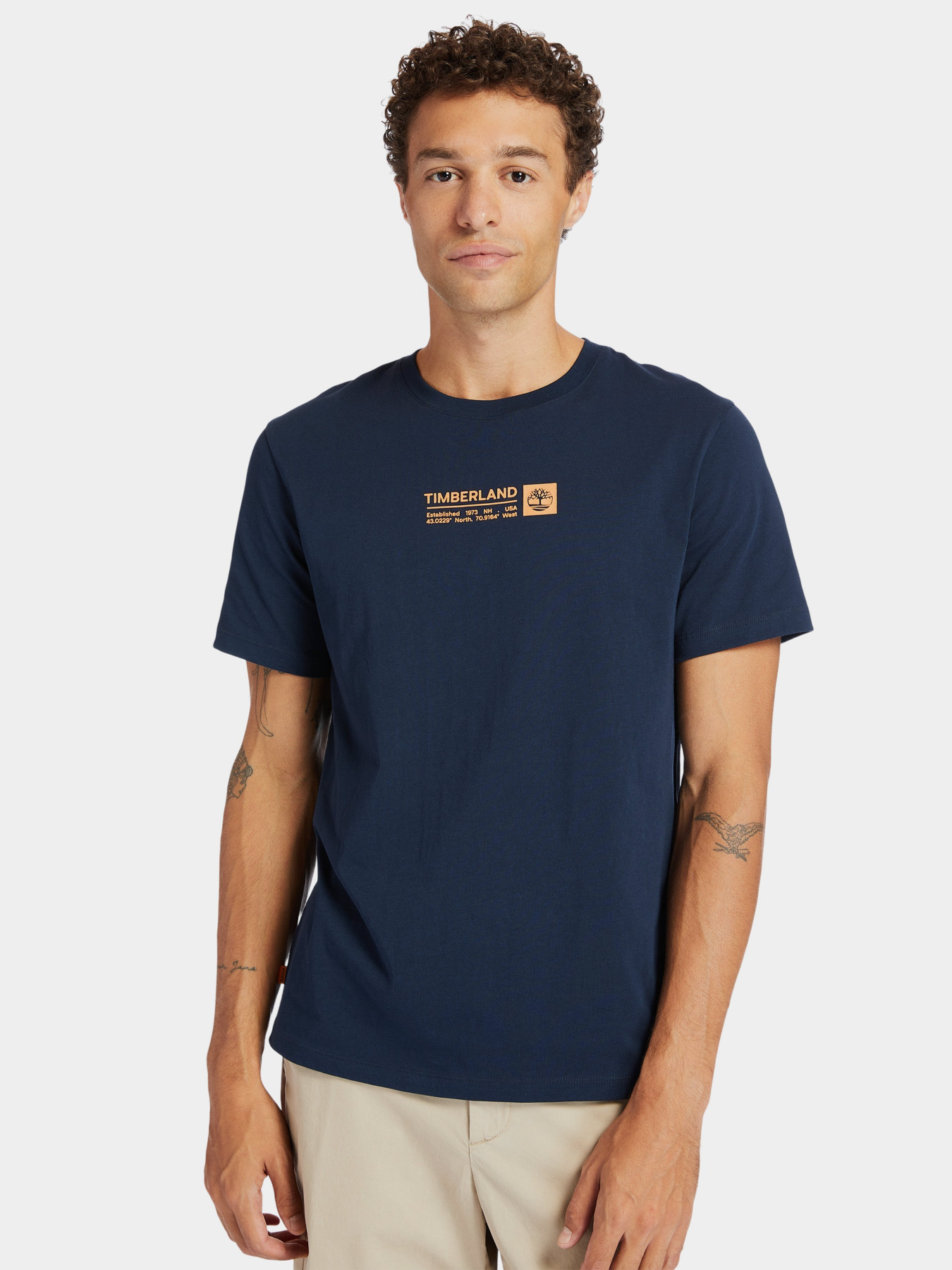 Футболки и поло Timberland Mink Brook модель TB0A2DM8433 Фото