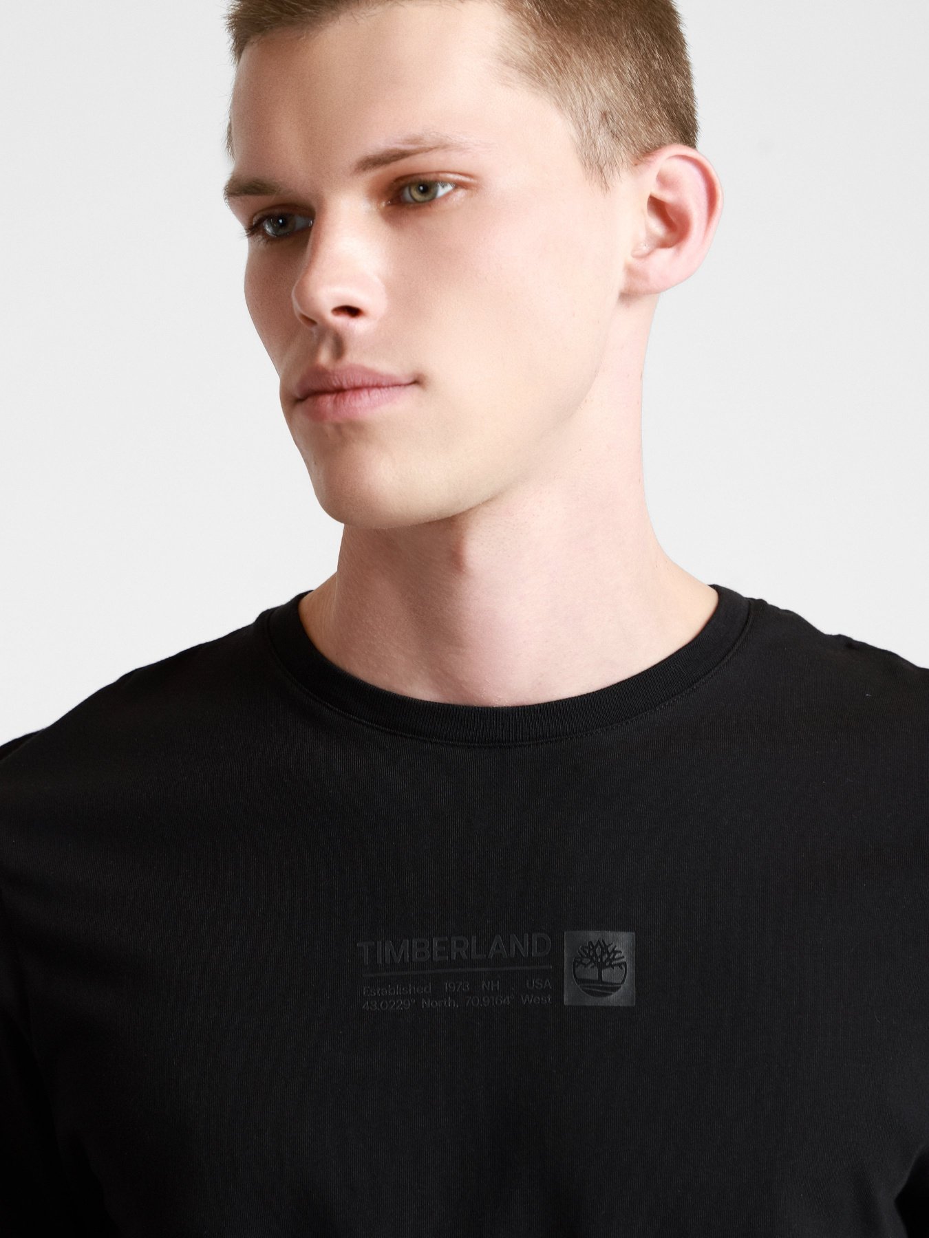 Футболки и поло Timberland Mink Brook модель TB0A2DM8001 Фото