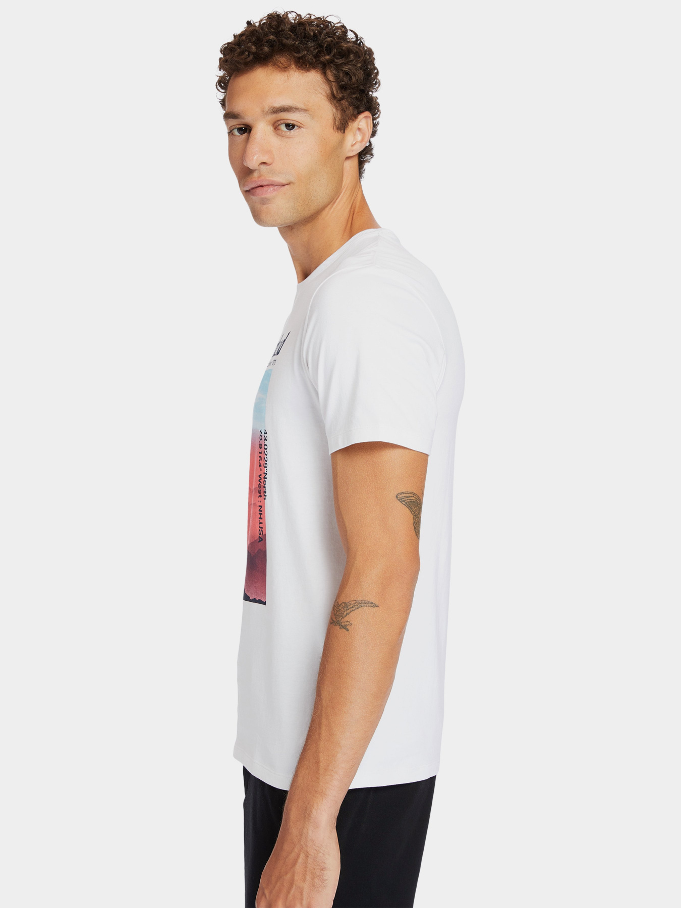 Футболка Timberland Photographic модель TB0A2DMJ100 Фото