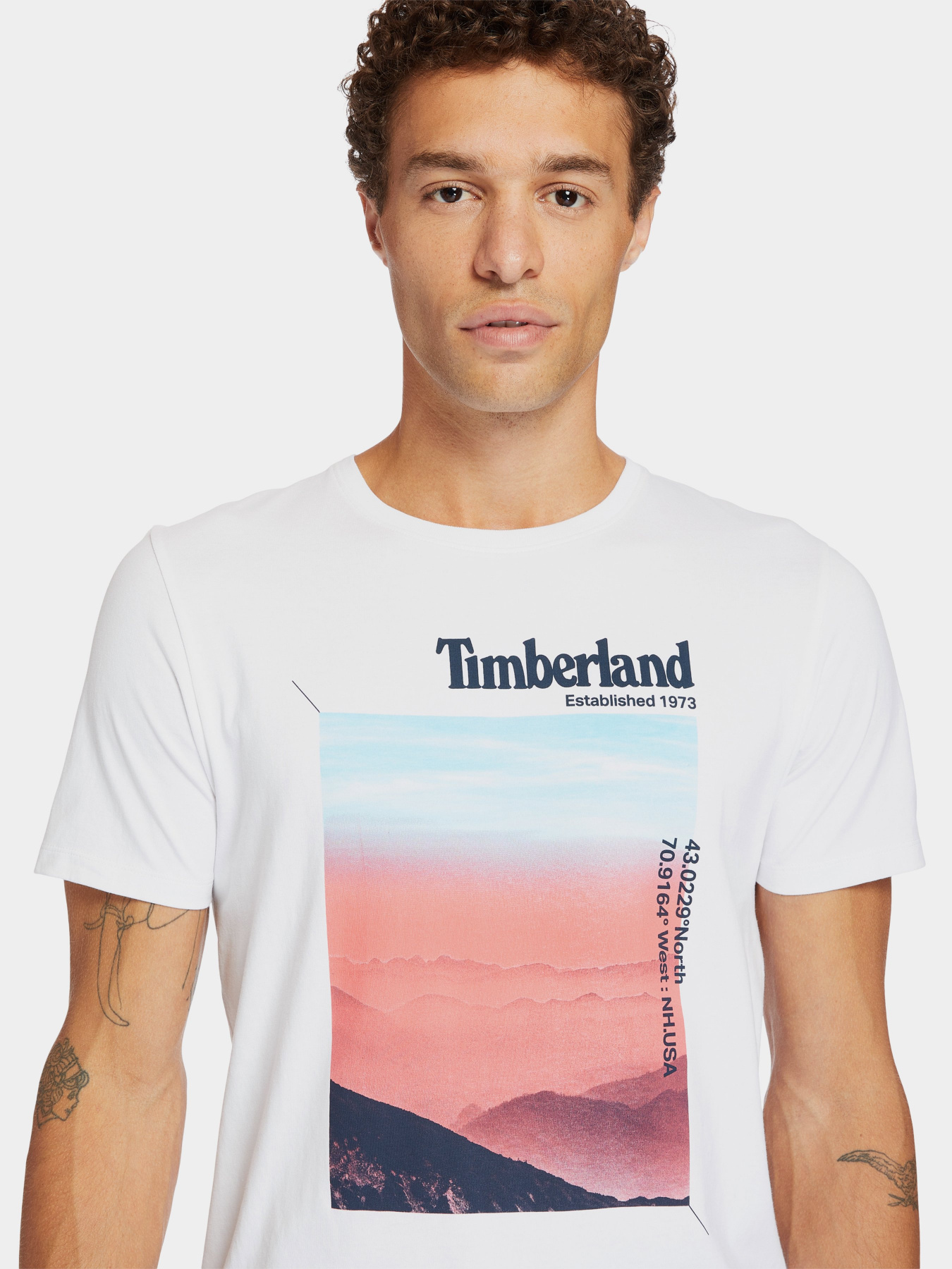 Футболка Timberland Photographic модель TB0A2DMJ100 Фото