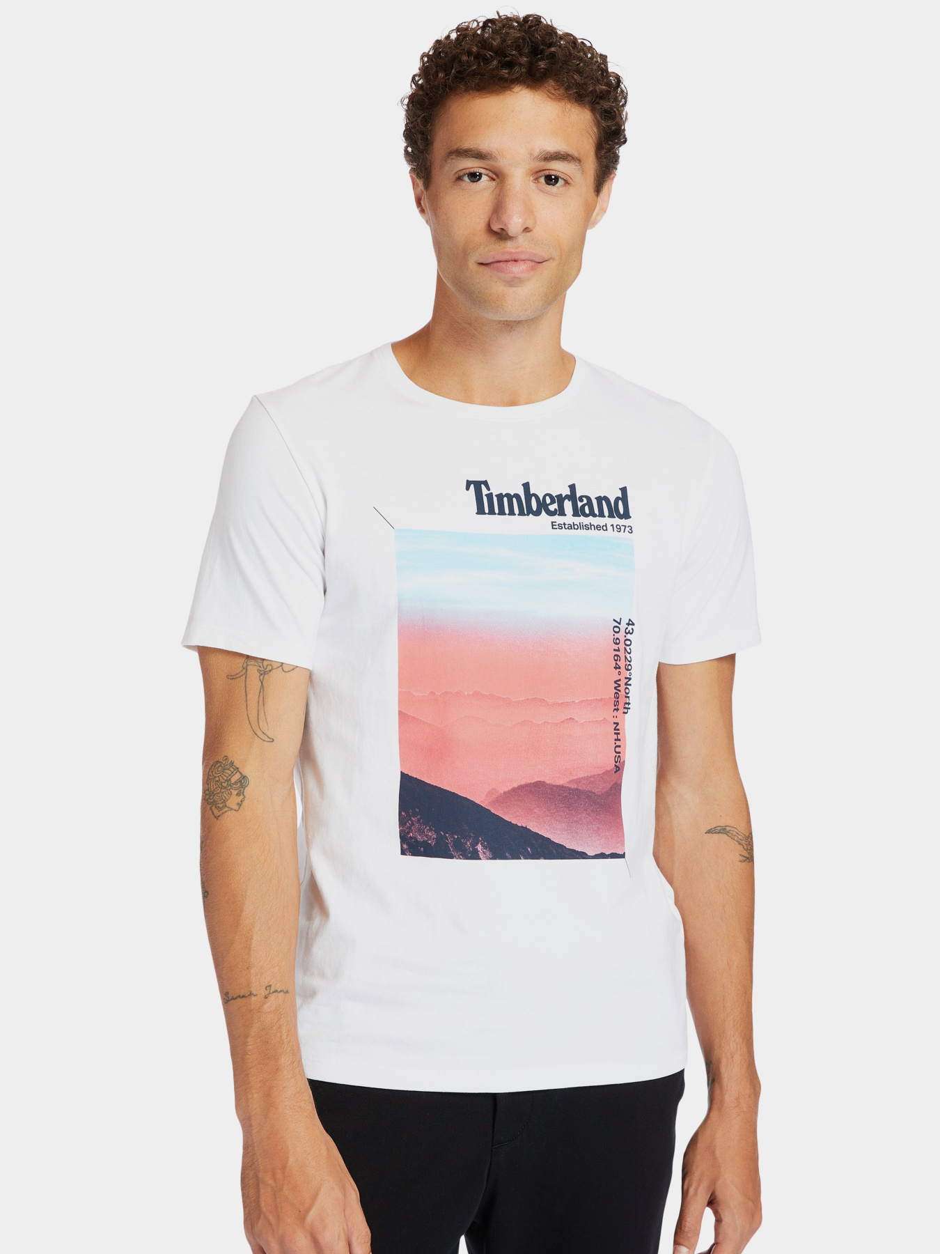 Футболка Timberland Photographic модель TB0A2DMJ100 Фото