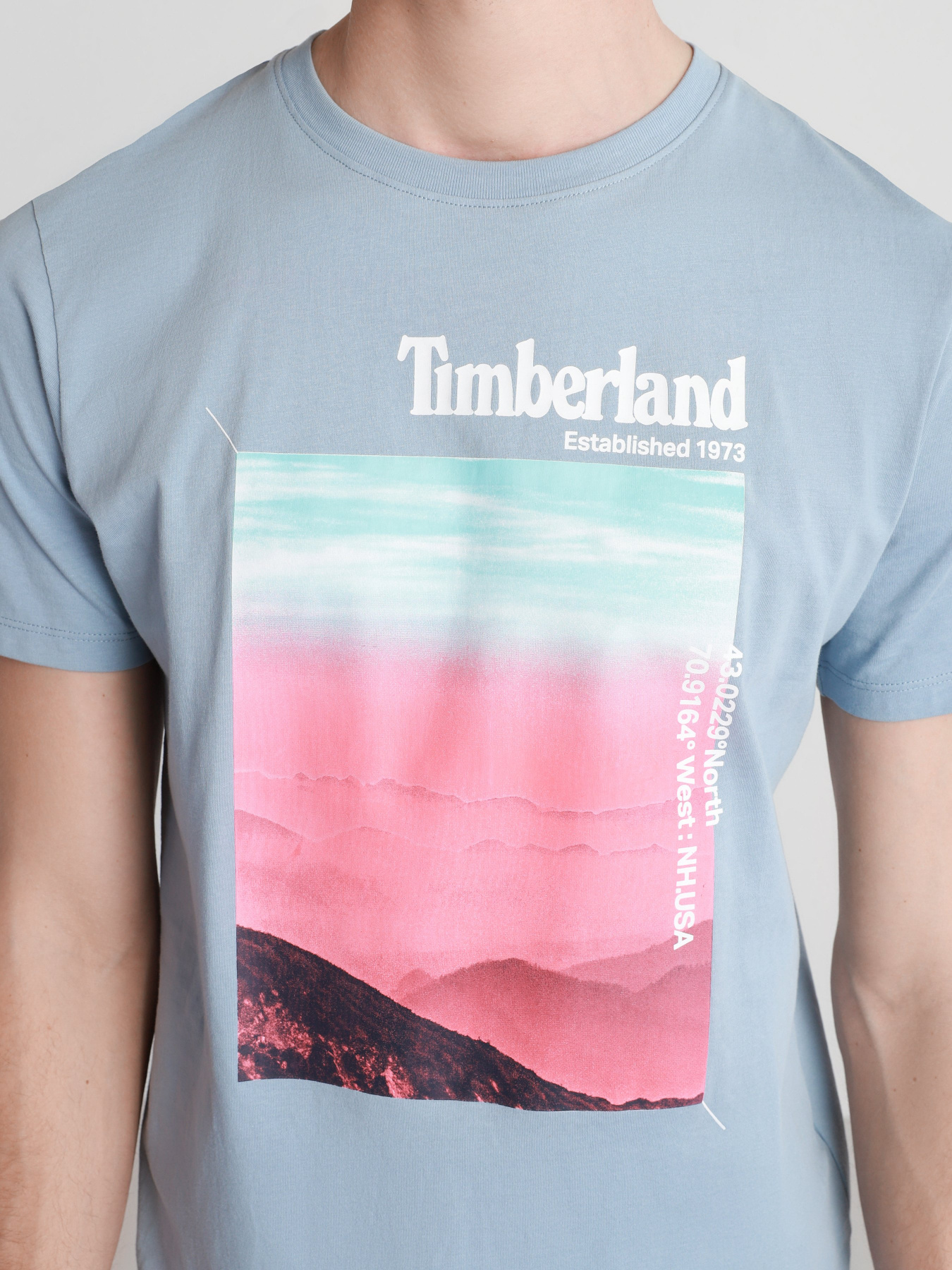 Футболки і поло Timberland Photographic модель TB0A2DMJG29 Фото