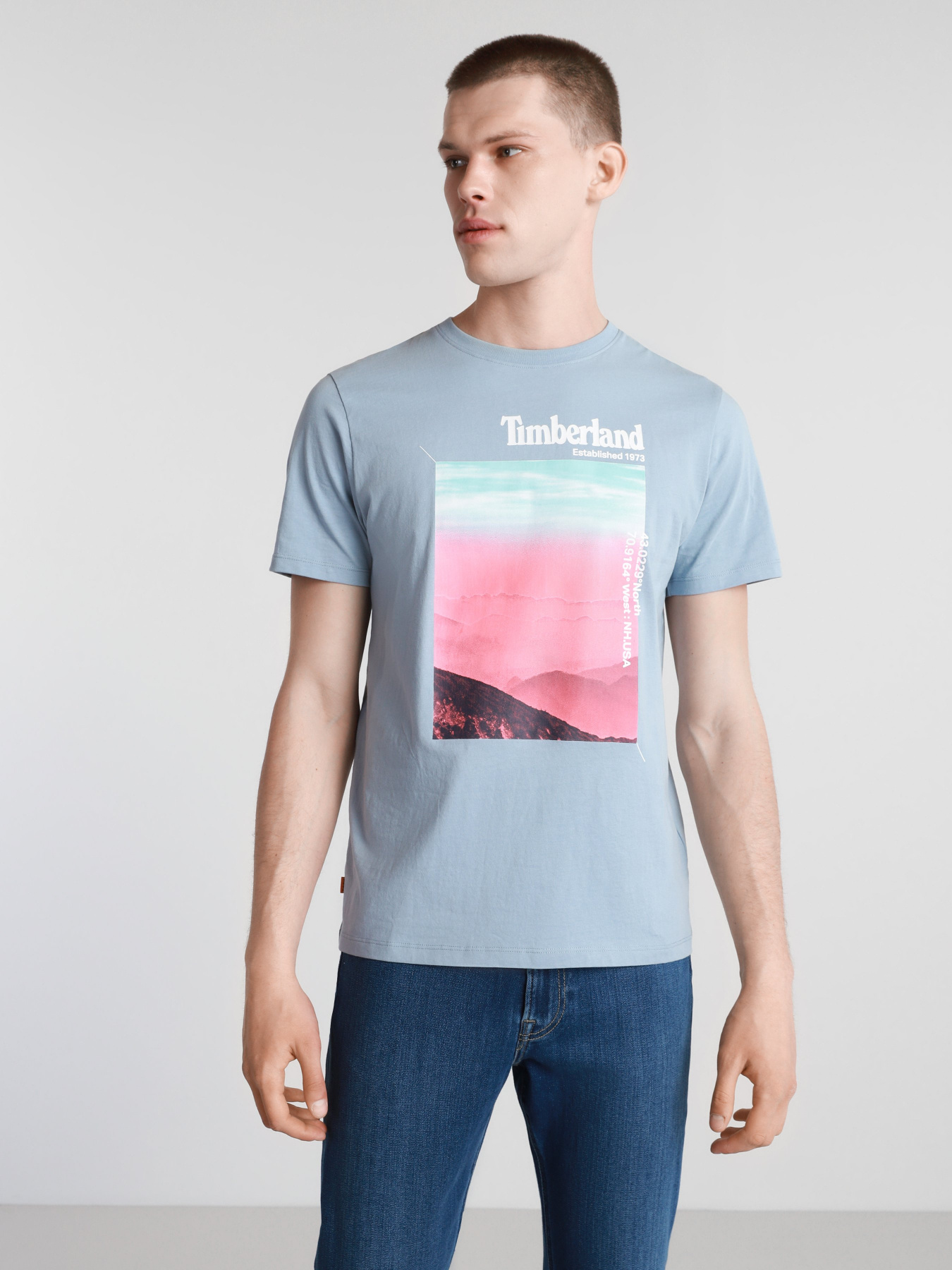 Футболки і поло Timberland Photographic модель TB0A2DMJG29 Фото