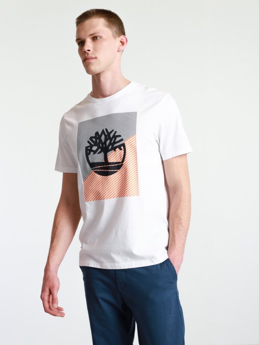 Футболки и поло Timberland модель TB0A2DMW100 Фото