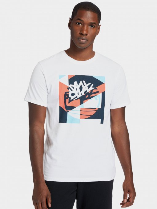 Футболки и поло Timberland Coastal Cool Graphic модель TB0A2DNJ100 Фото