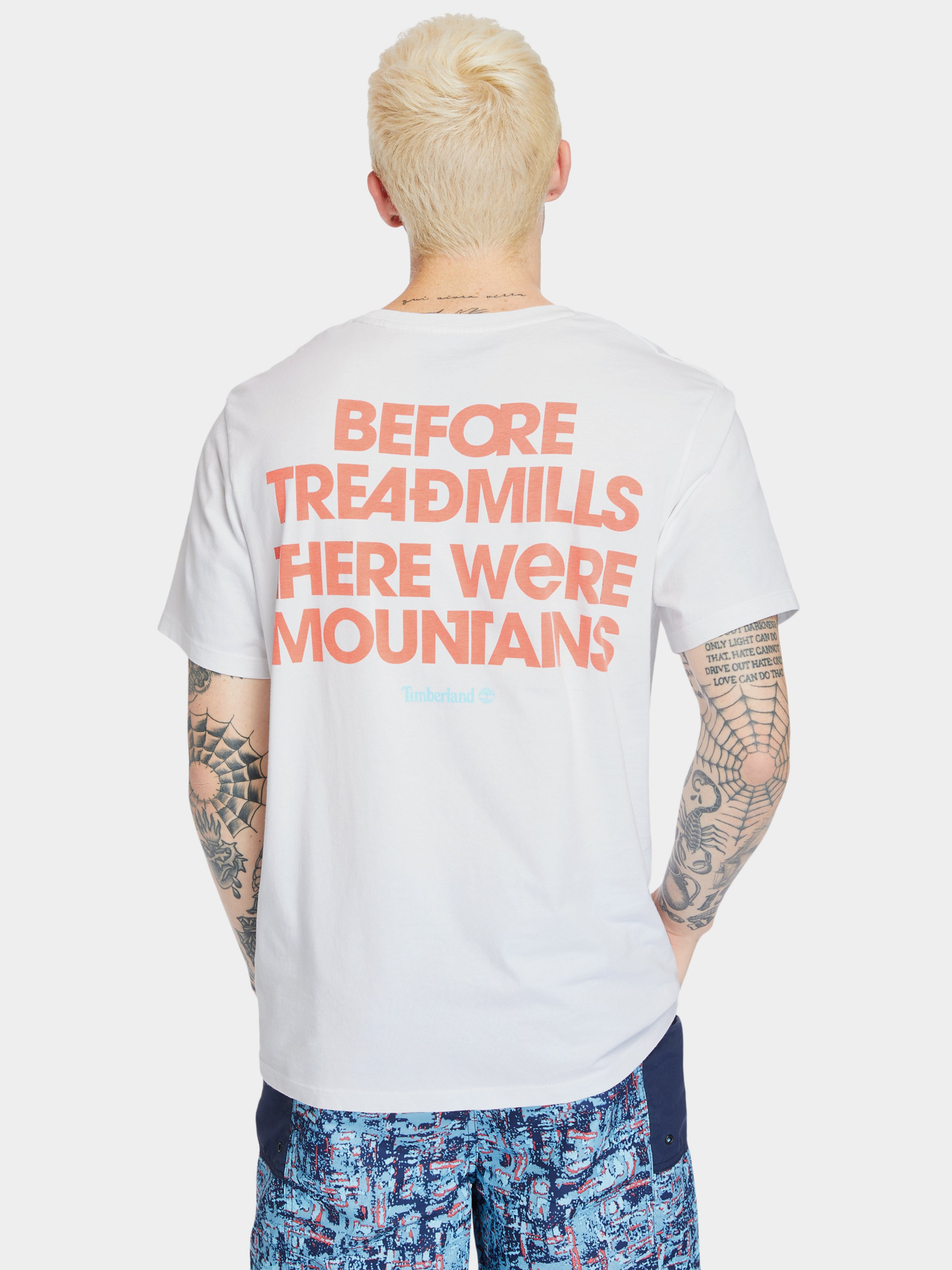 Футболки і поло Timberland Outdoor Archive Graphic модель TB0A2DV3100 Фото