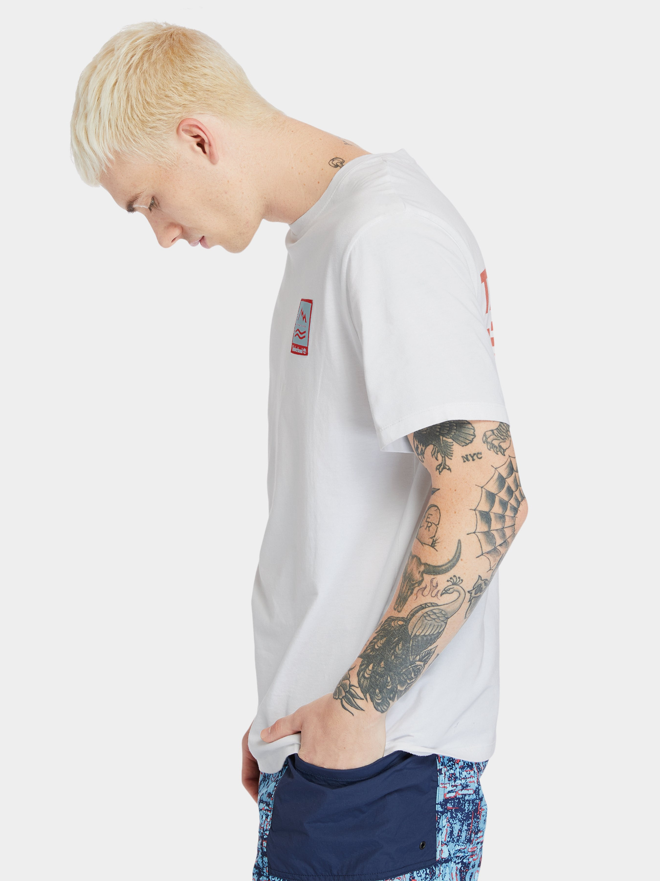 Футболки і поло Timberland Outdoor Archive Graphic модель TB0A2DV3100 Фото