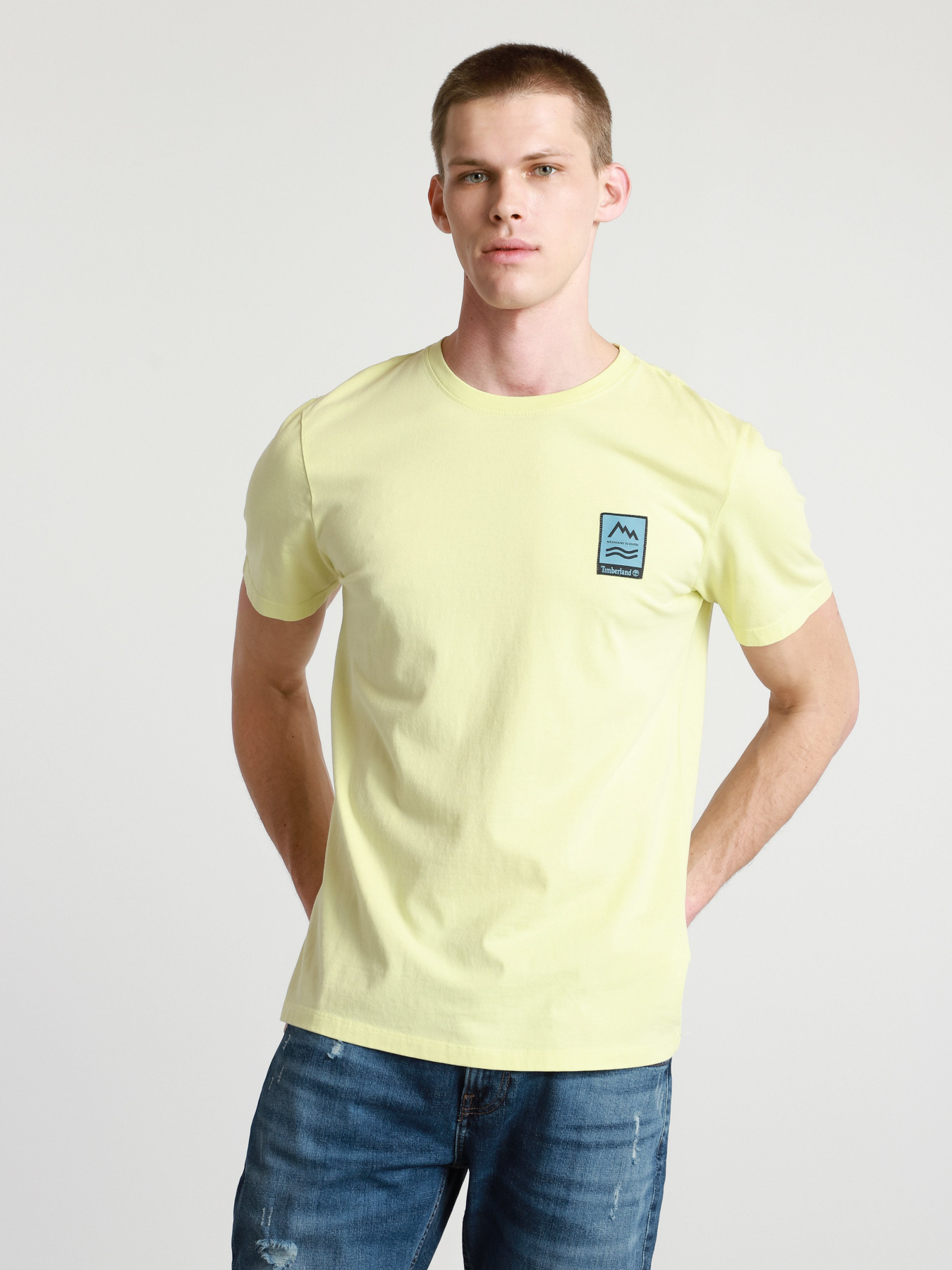 Футболка Timberland Outdoor Archive Graphic - Print модель TB0A2DV3322 Фото