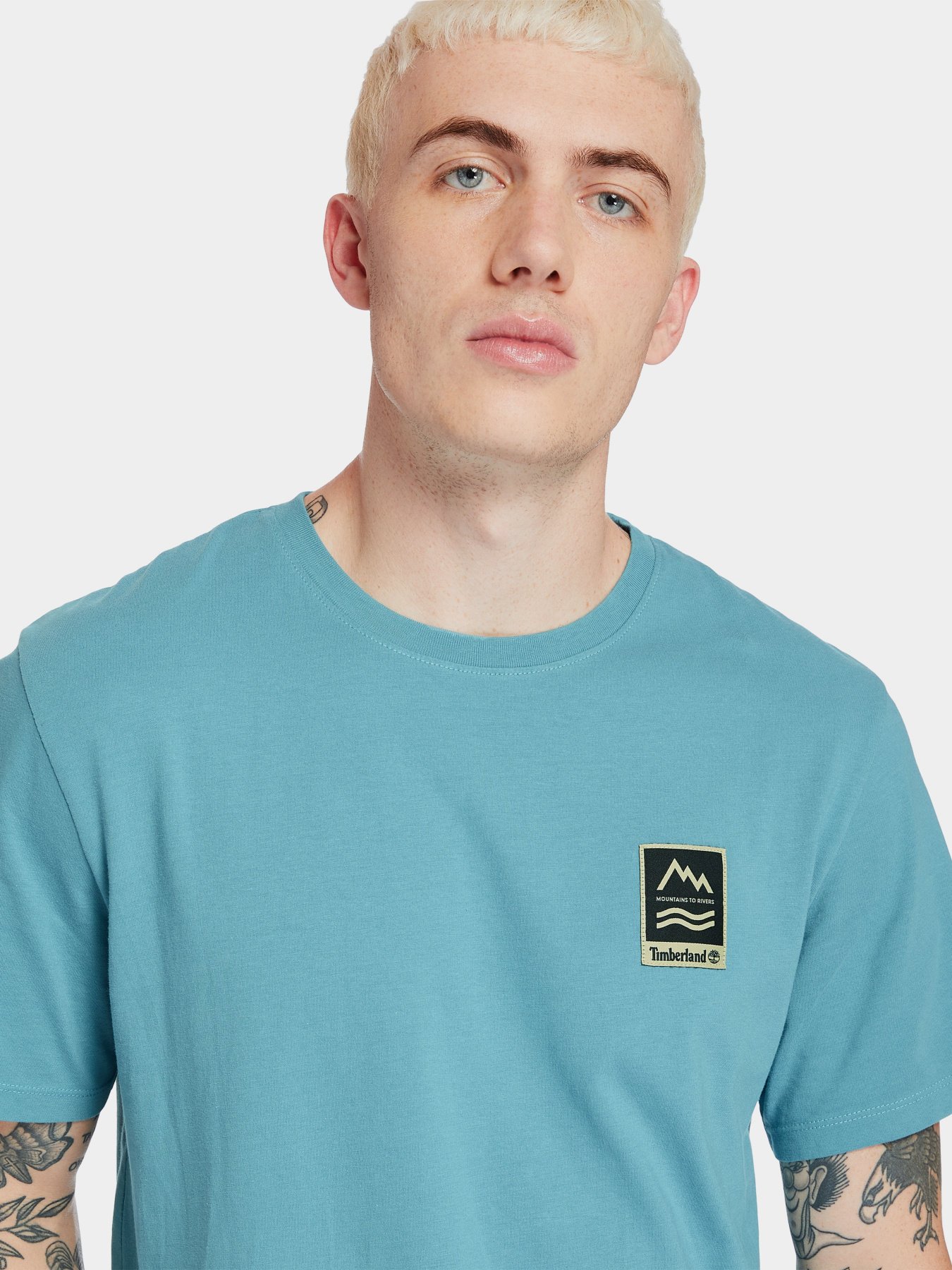 Футболки и поло Timberland Outdoor Archive Graphic - Print модель TB0A2DV3BE3 Фото