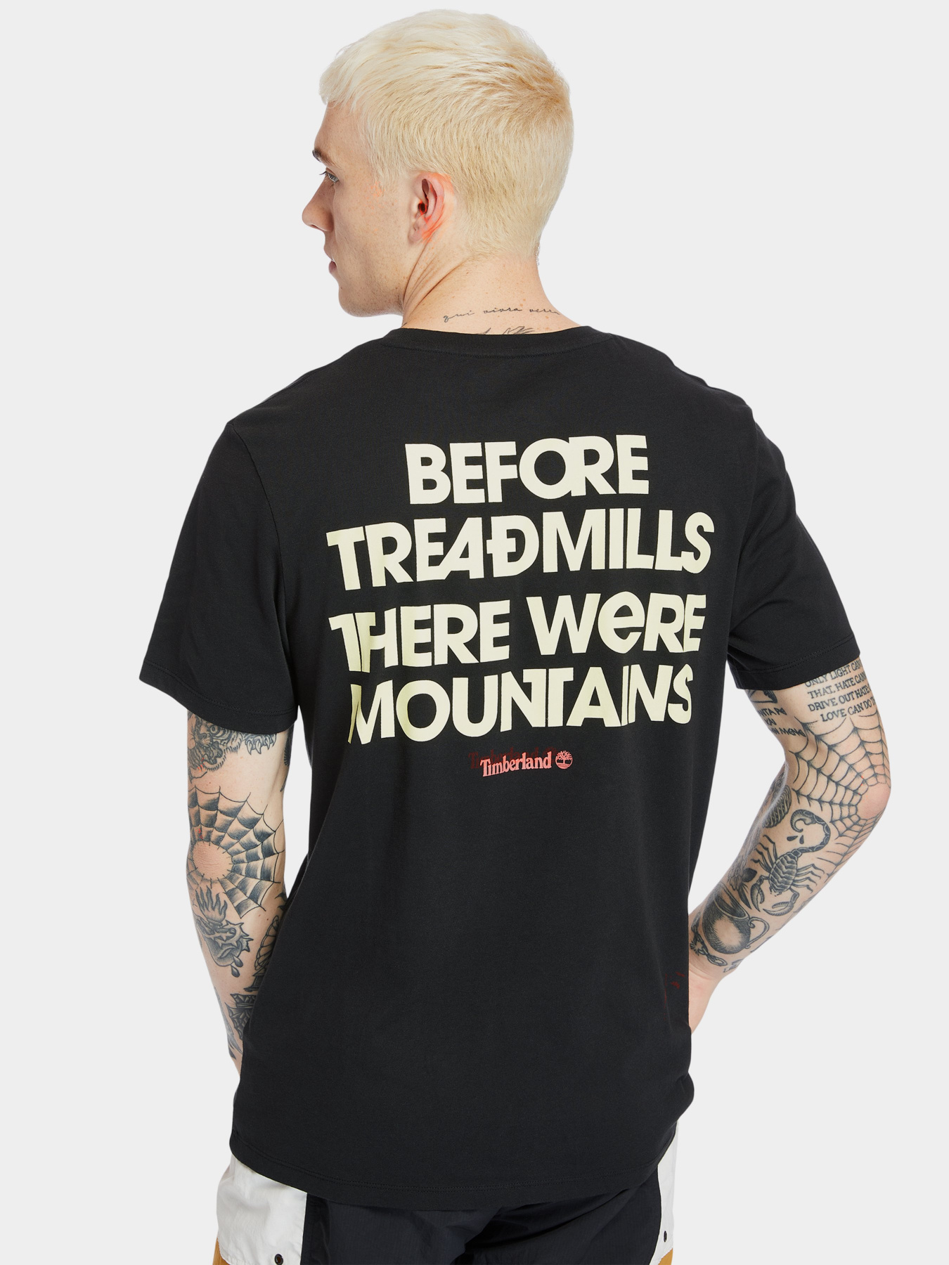 Футболки и поло Timberland Outdoor Archive Graphic модель TB0A2DV3001 Фото