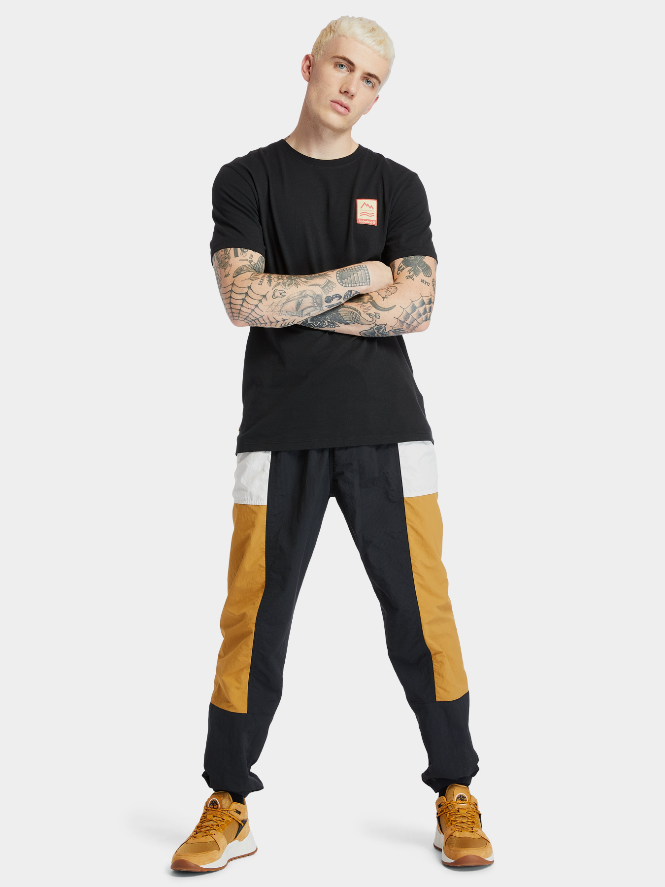 Футболки и поло Timberland Outdoor Archive Graphic модель TB0A2DV3001 Фото