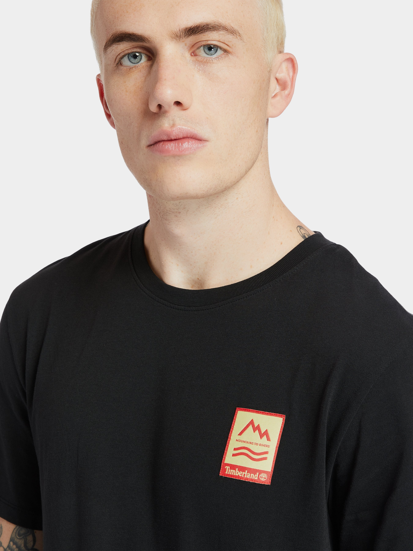Футболки и поло Timberland Outdoor Archive Graphic модель TB0A2DV3001 Фото