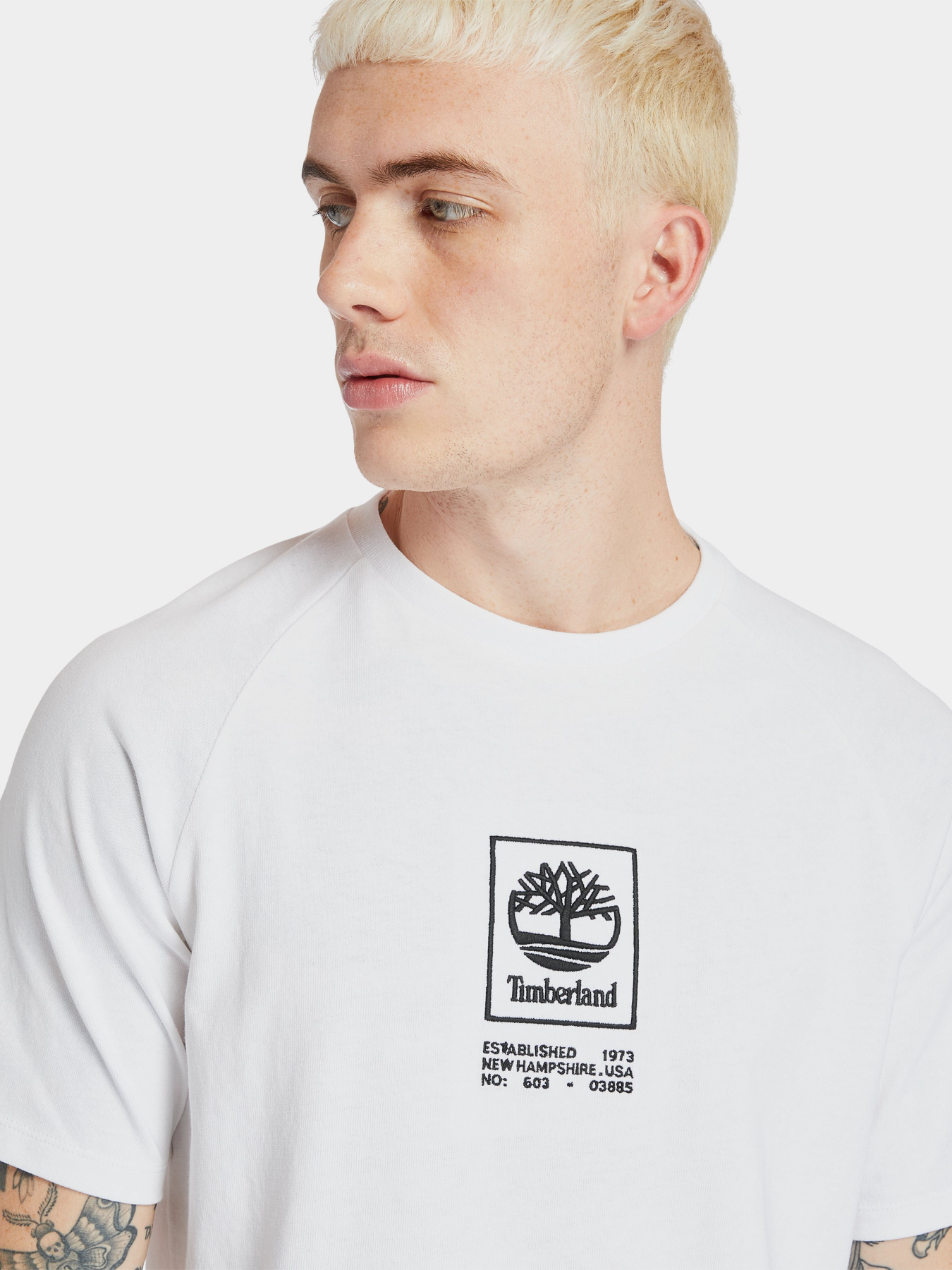 Футболка Timberland Heavyweight Logo модель TB0A2DVY100 Фото