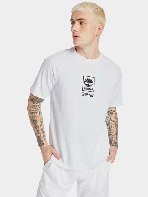 Футболка Timberland Heavyweight Logo модель TB0A2DVY100 Фото